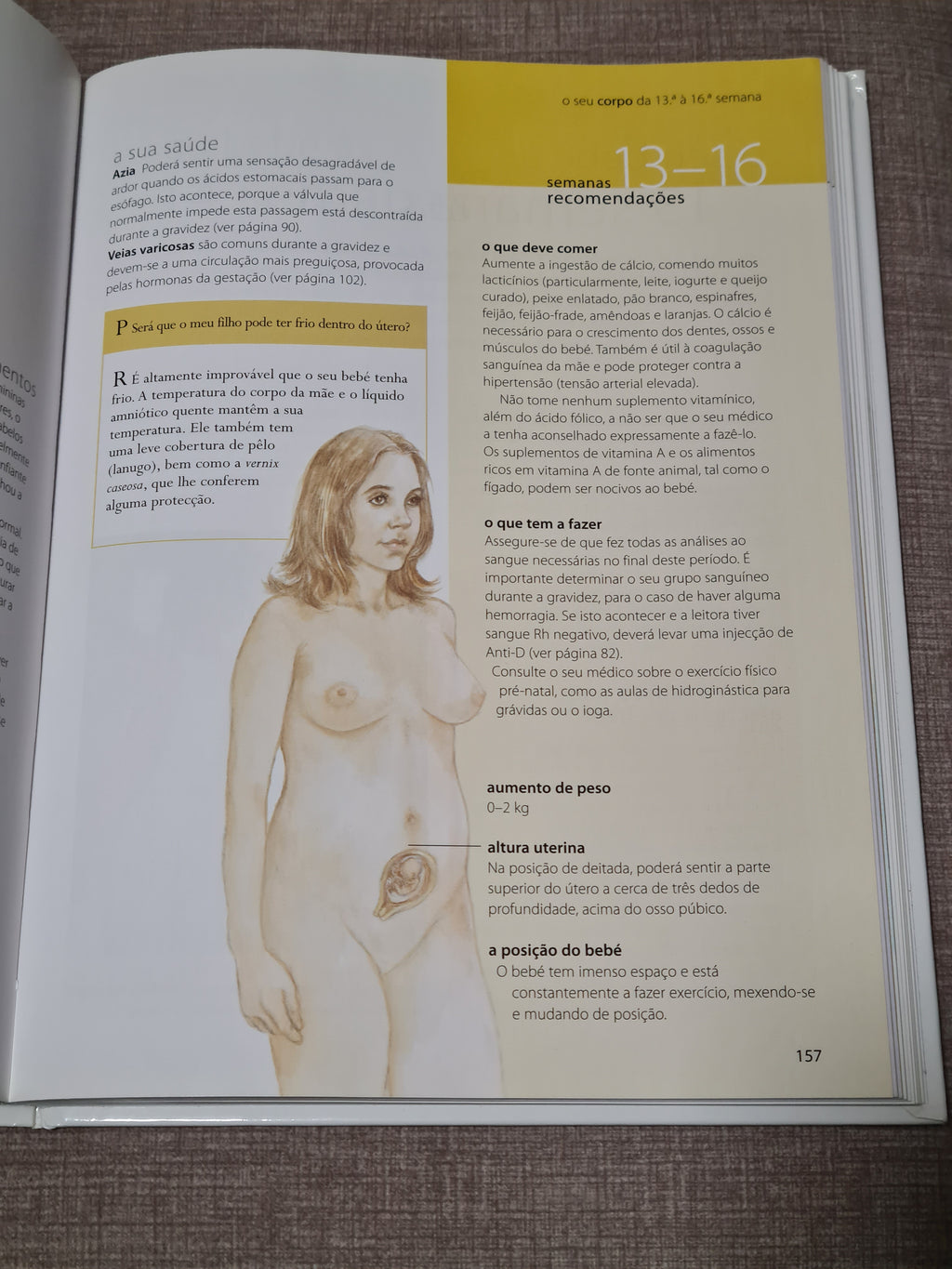 Manual da gravidez - Semana a Semana