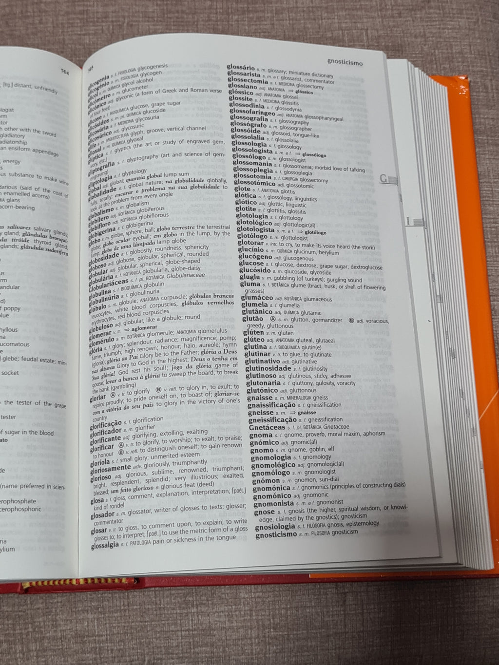 Dicionário de Português - Inglês