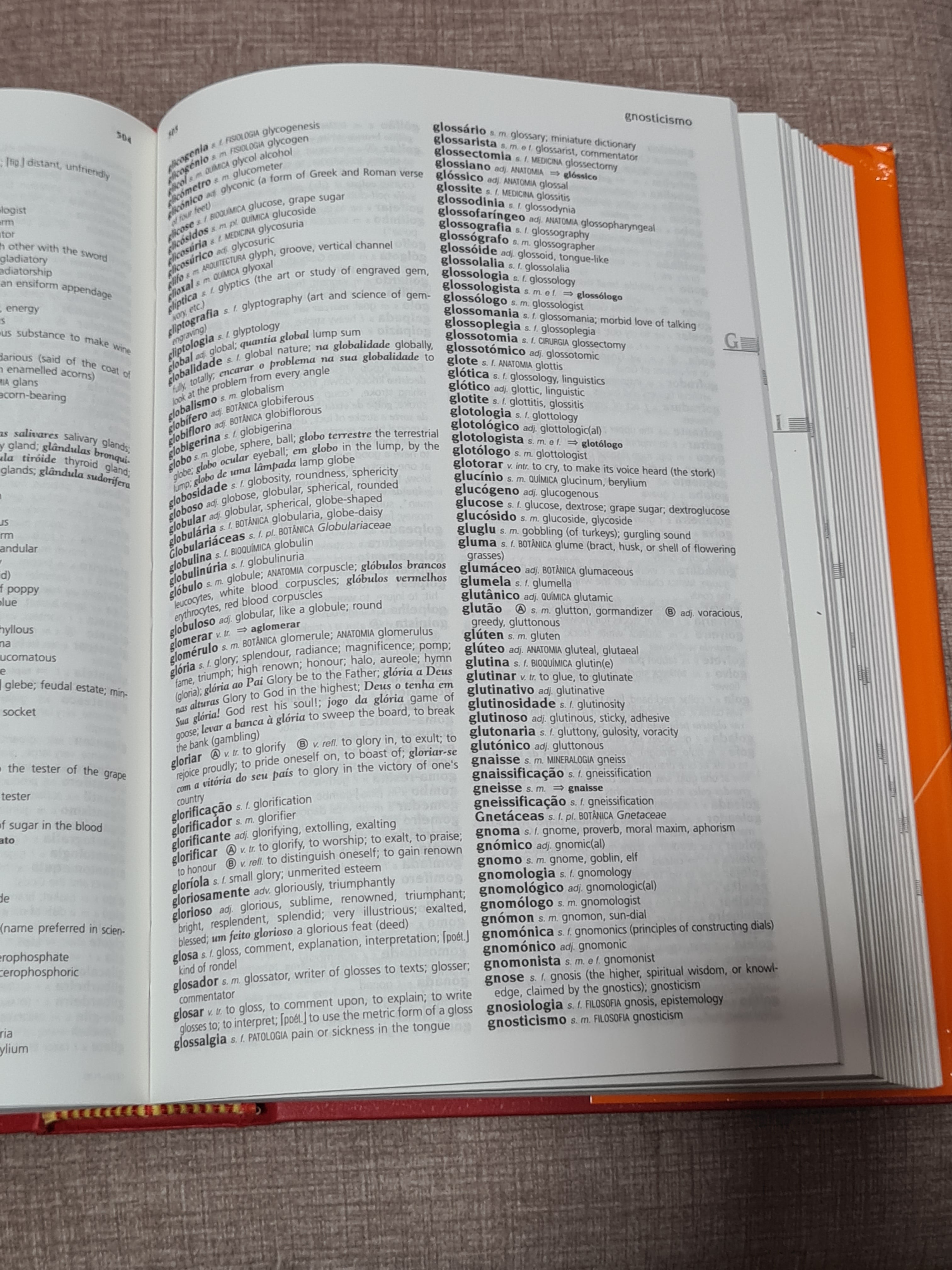 Dicionário de Português - Inglês