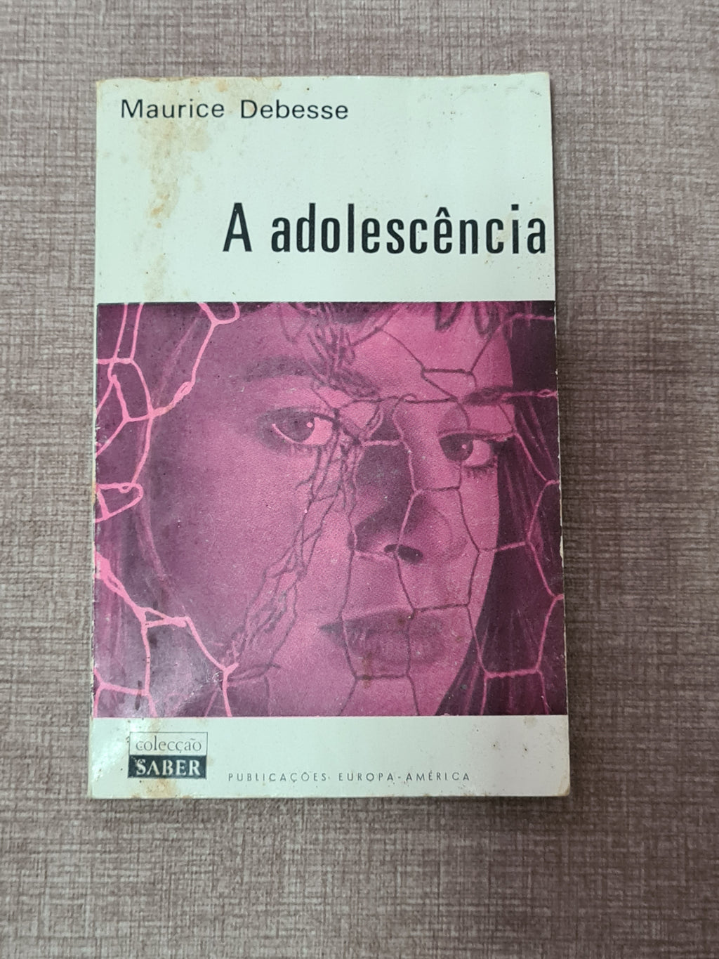 A Adolescência - Colecção Saber 20