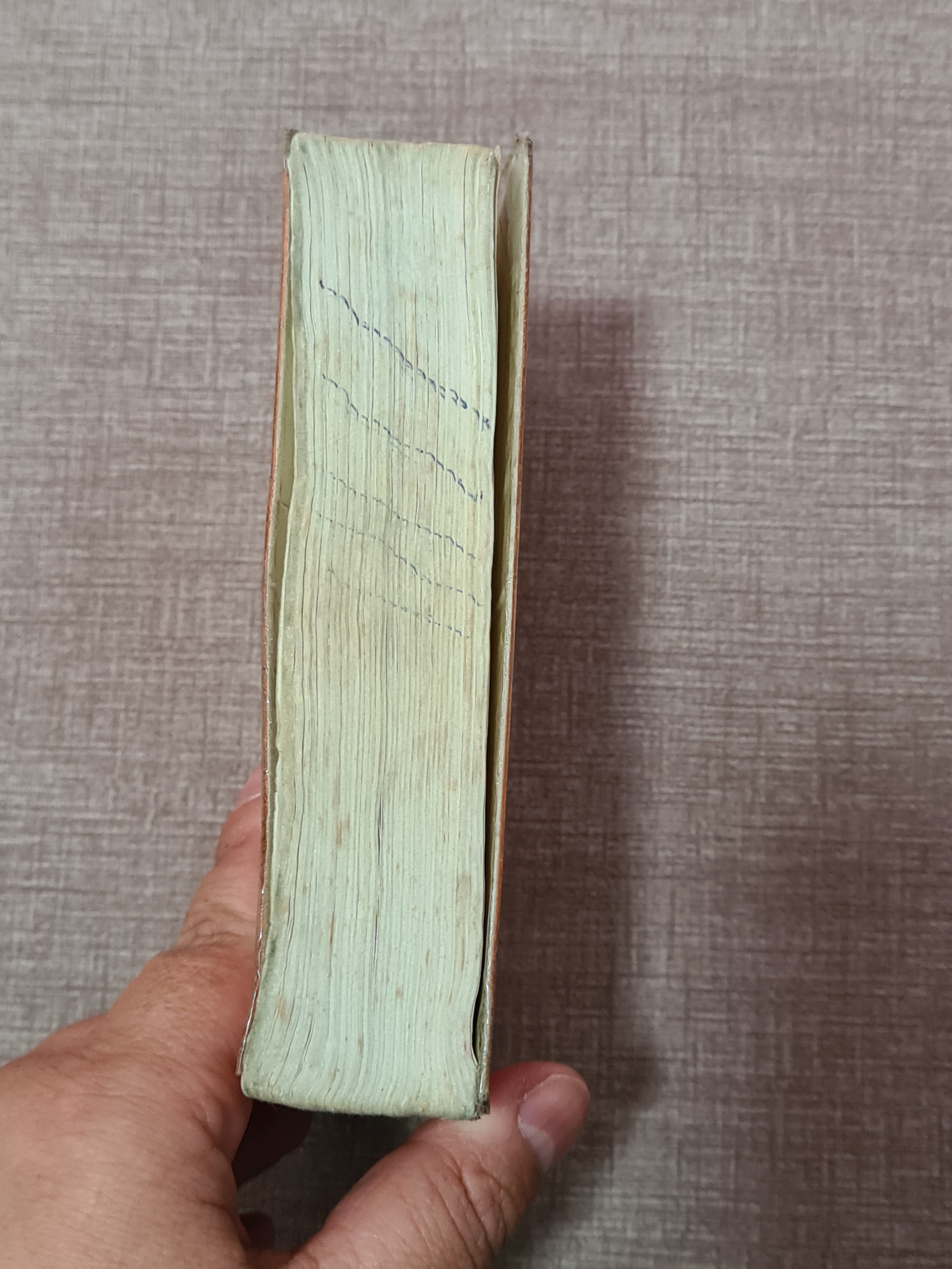 Basic Dictionary of the Portuguese Language