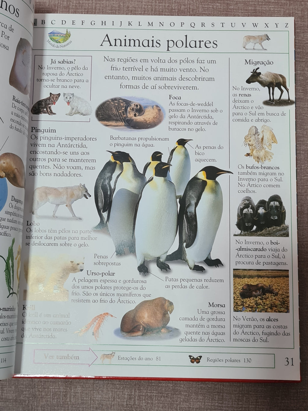 Illustrated Children's Encyclopedia