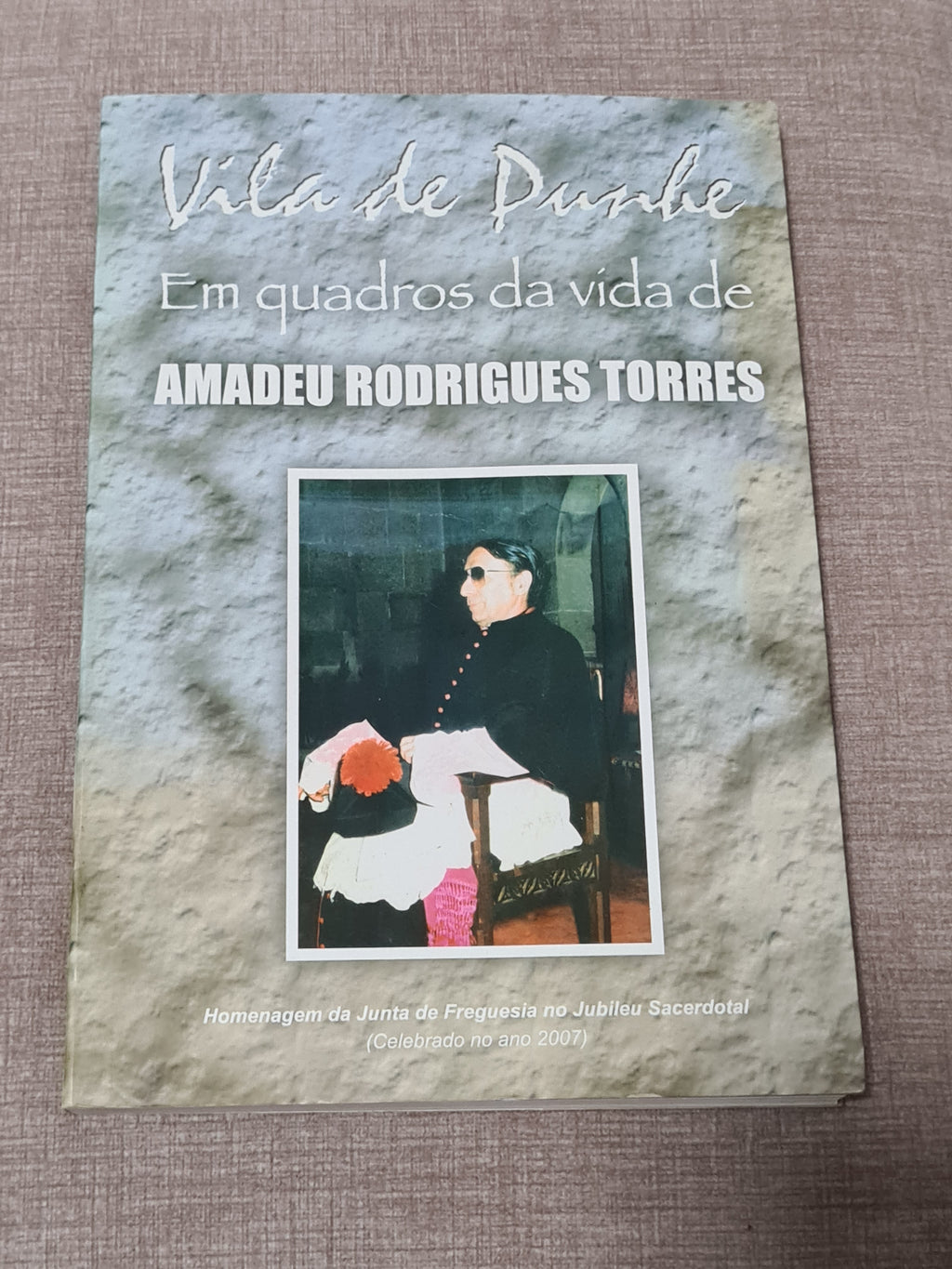Vila de Punhe in Paintings from the Life of Amadeu Rodrigues Torres