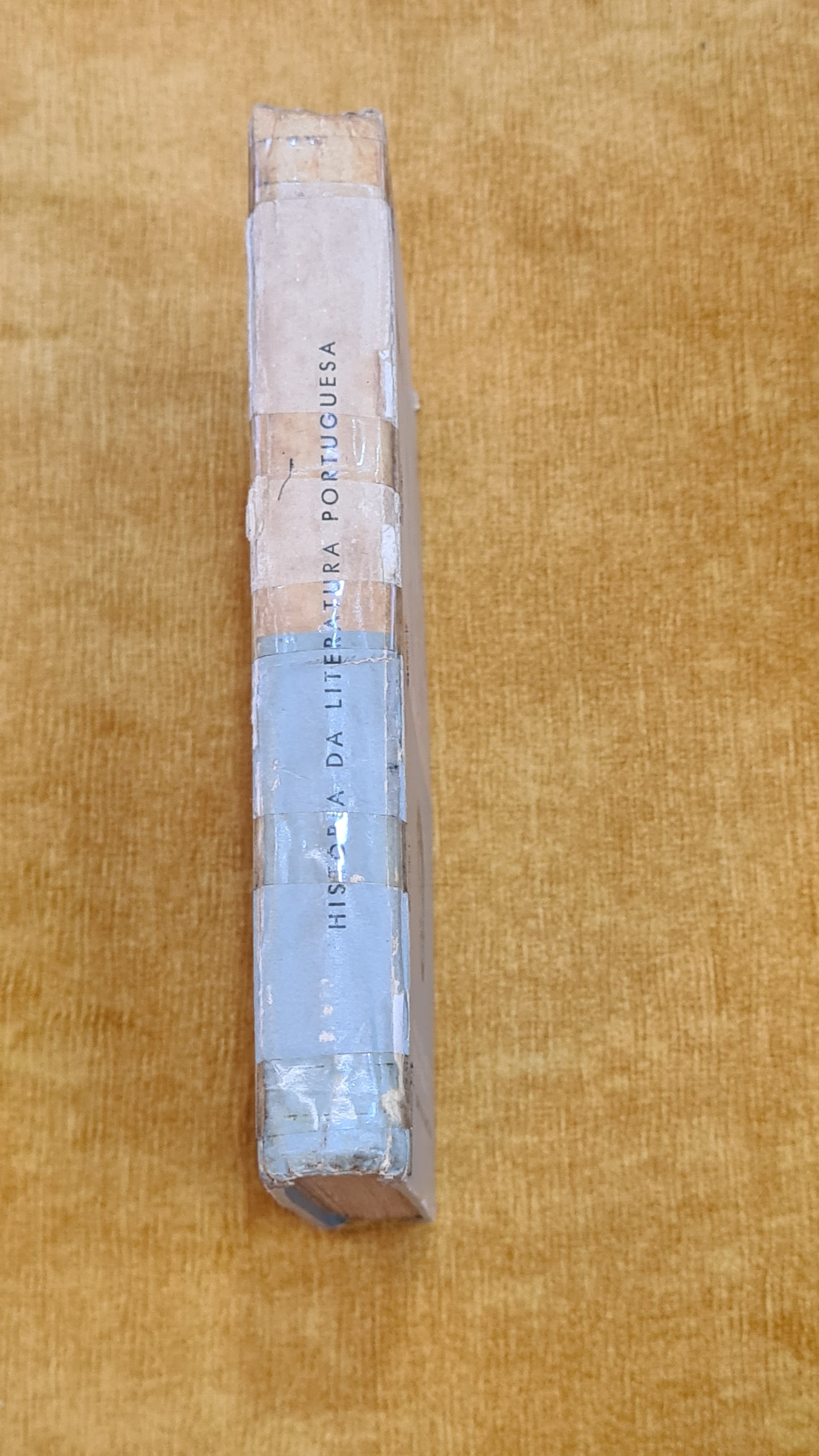 Manual of Portuguese Literary History