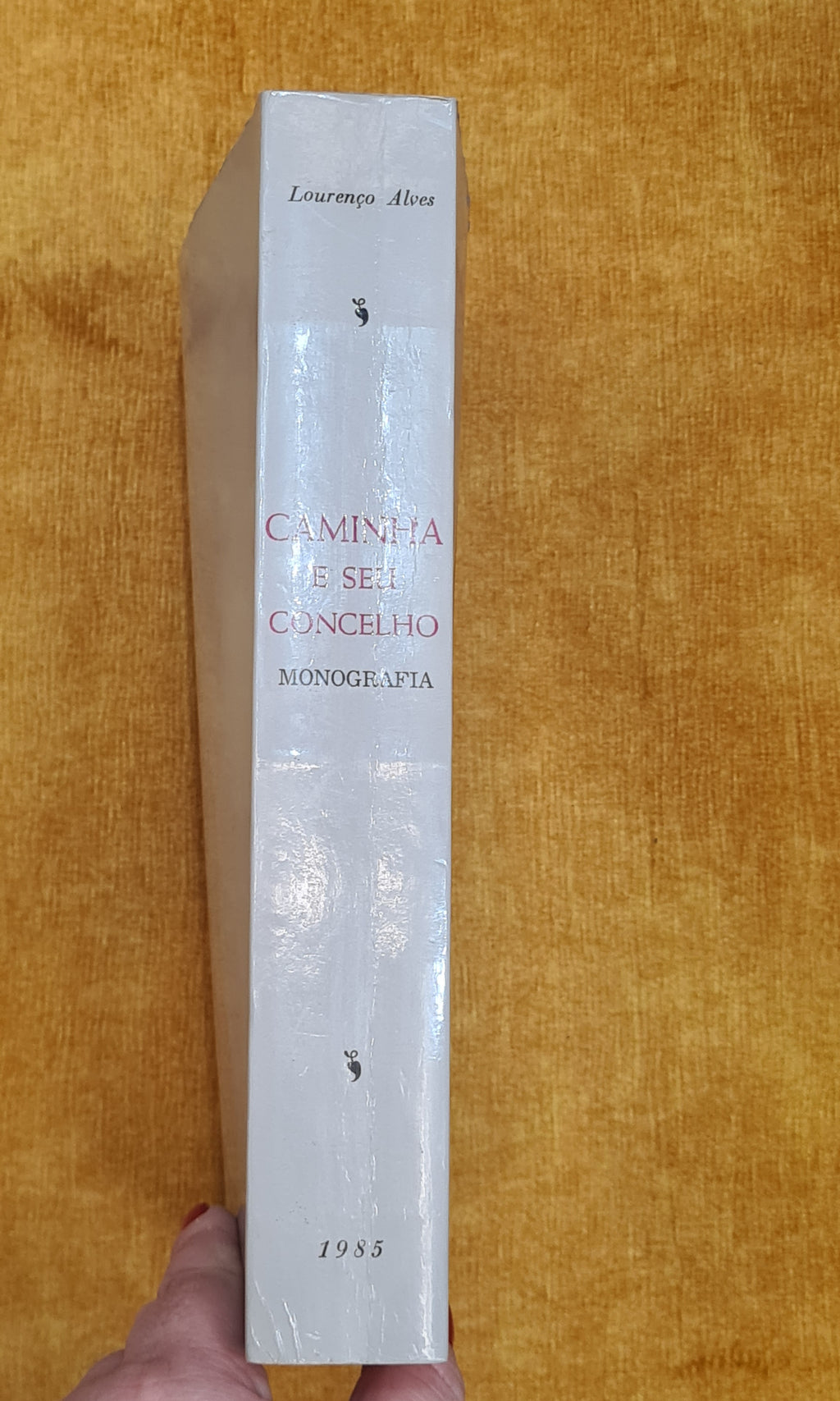 Caminha e o seu concelho (monografia)
