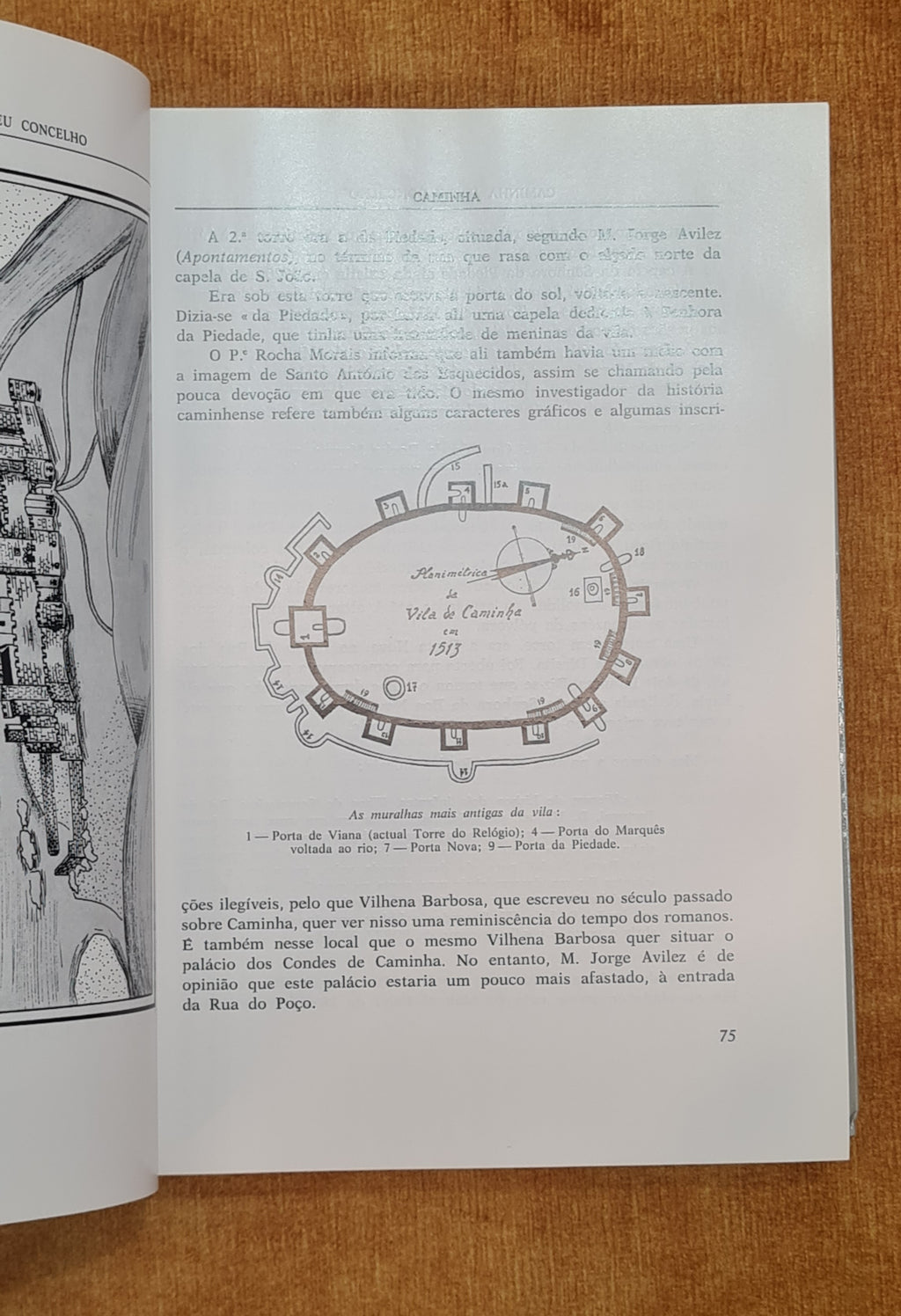 Caminha e o seu concelho (monografia)