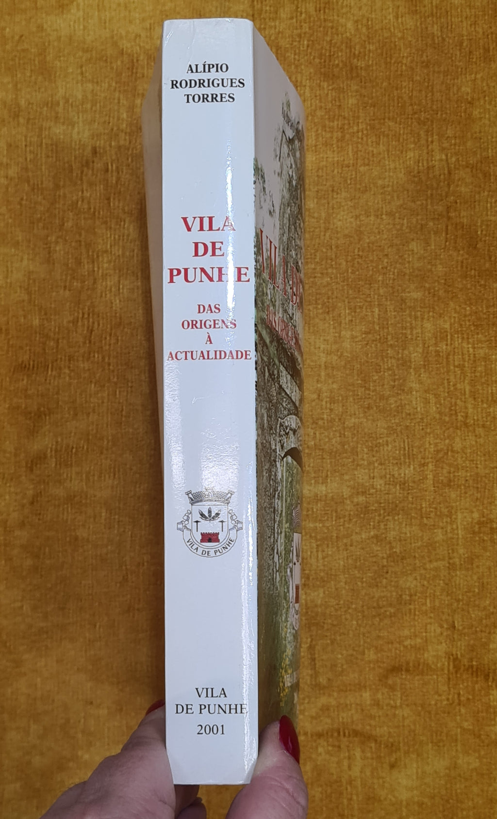 Vila de Punhe das origens à actualidade