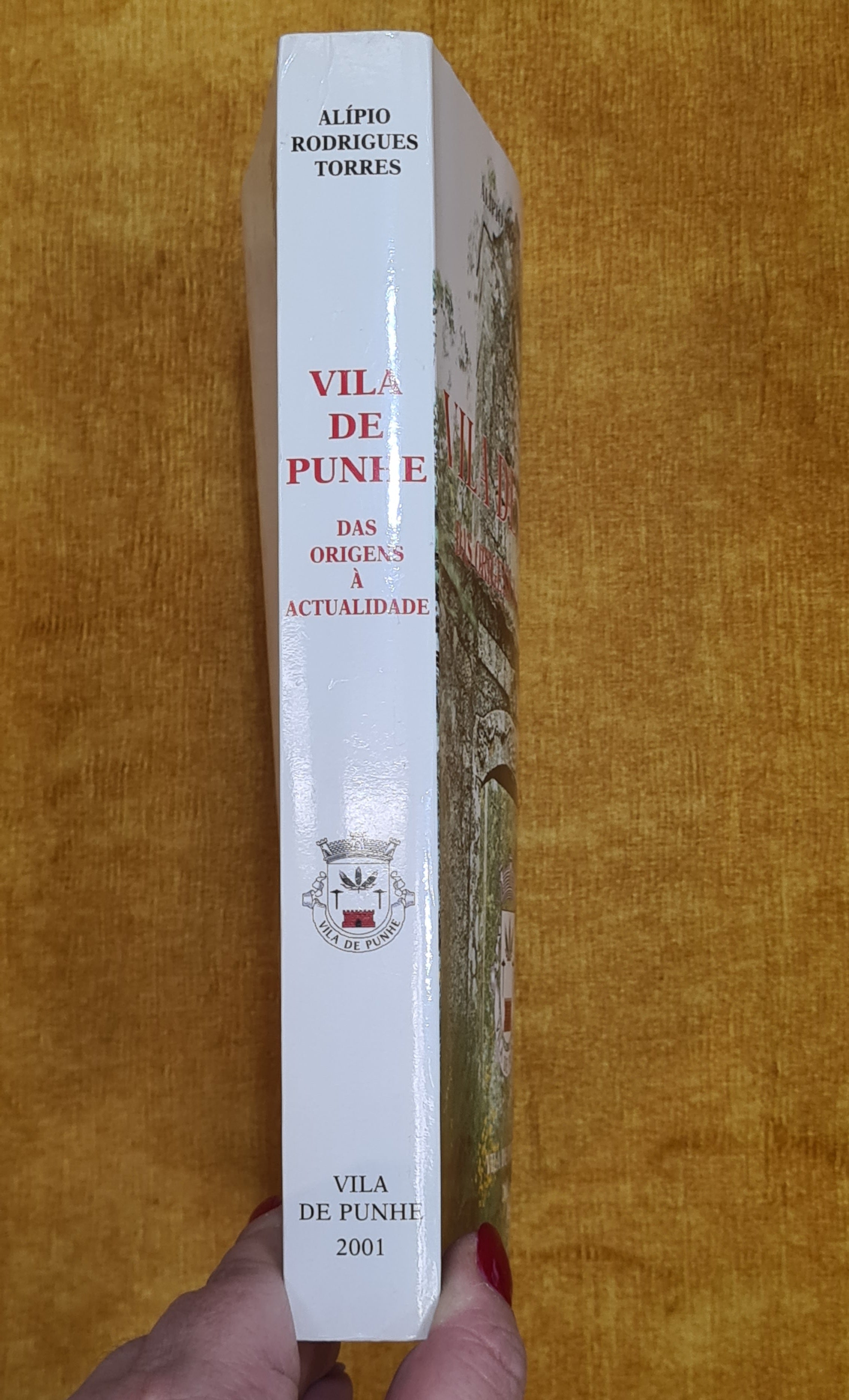 Vila de Punhe das origens à actualidade