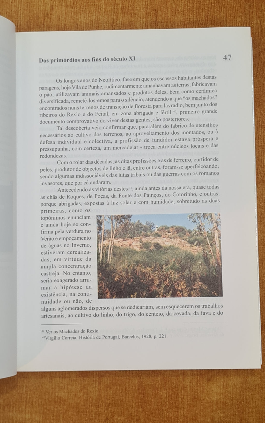 Vila de Punhe das origens à actualidade