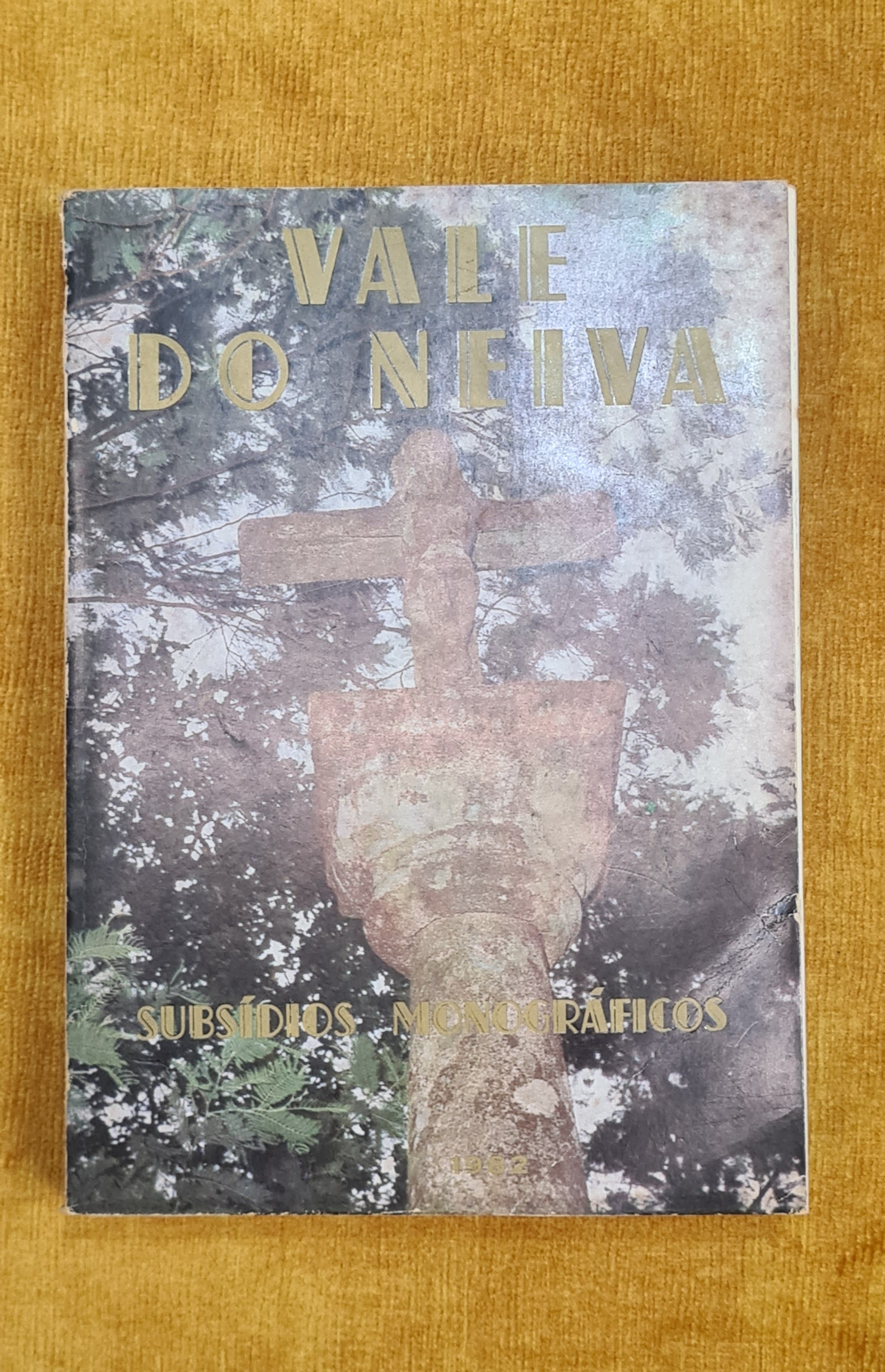 Vale do Neiva: subsidios monográficos