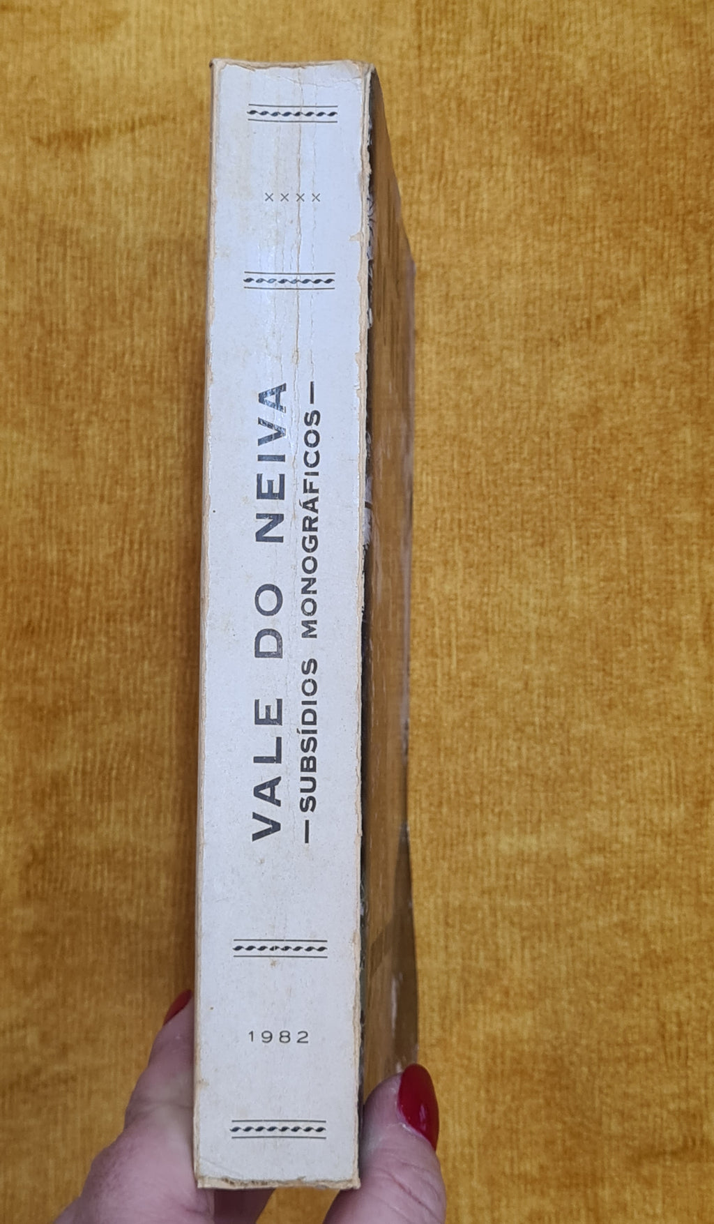 Vale do Neiva: subsidios monográficos