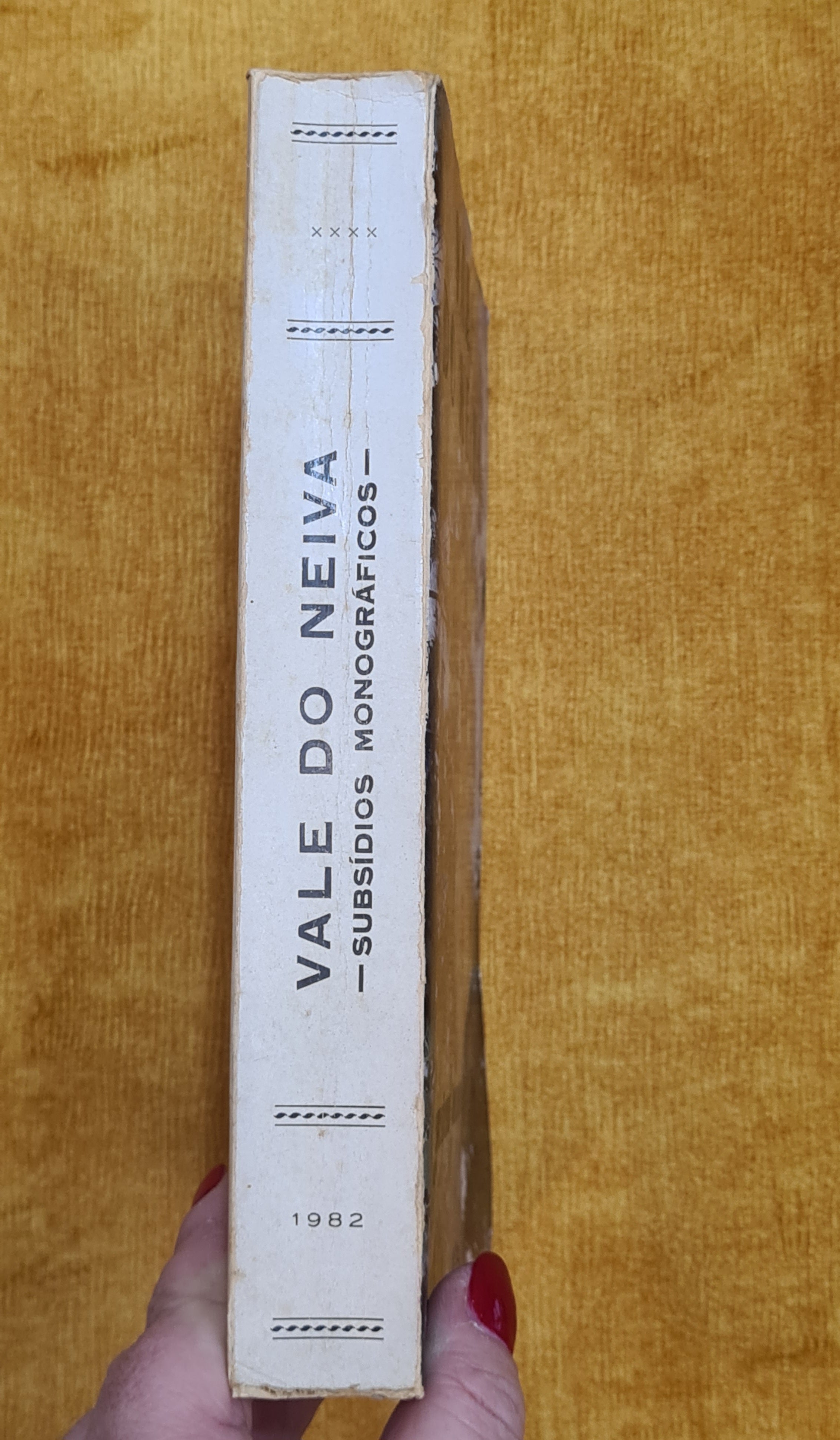 Vale do Neiva: subsidios monográficos