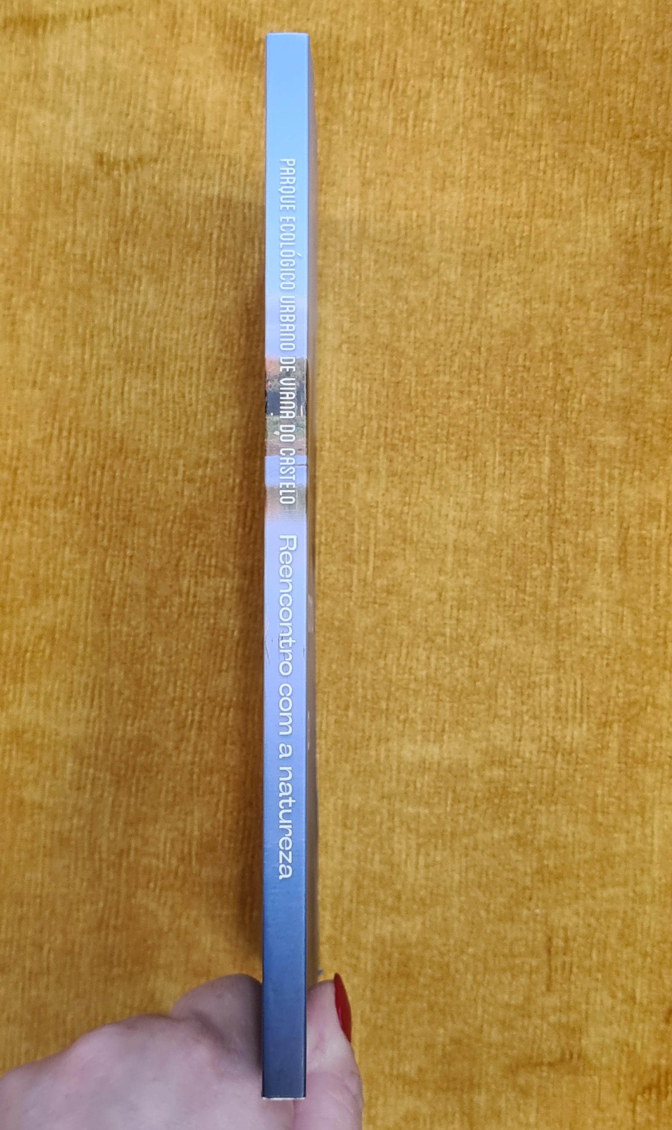 Reencontro com a natureza