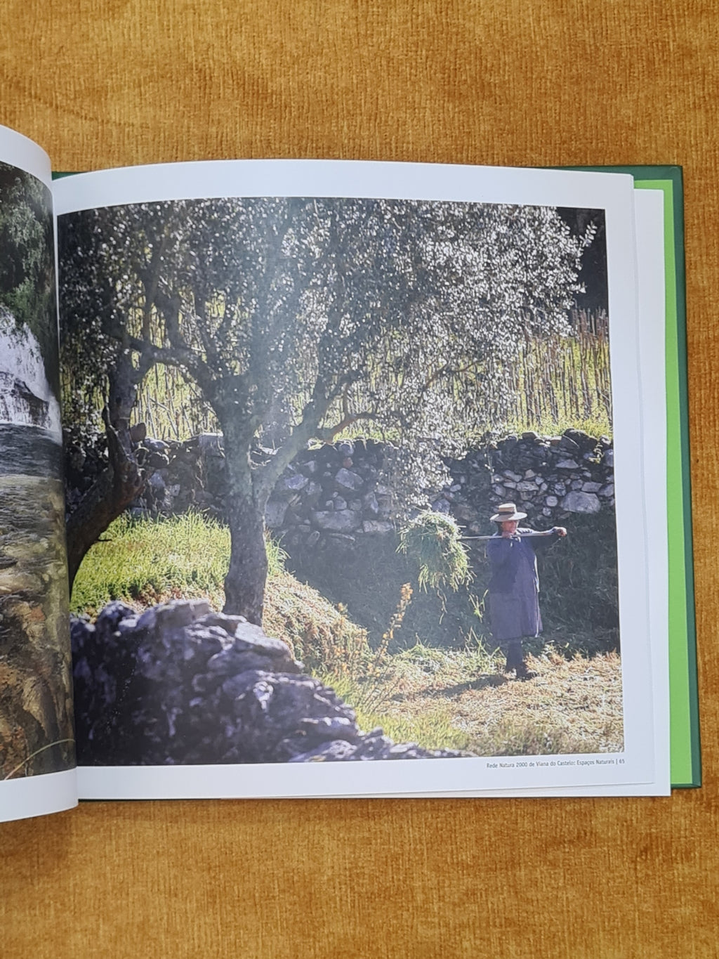 Natura 2000 Network in Viana do Castelo: Natural Spaces