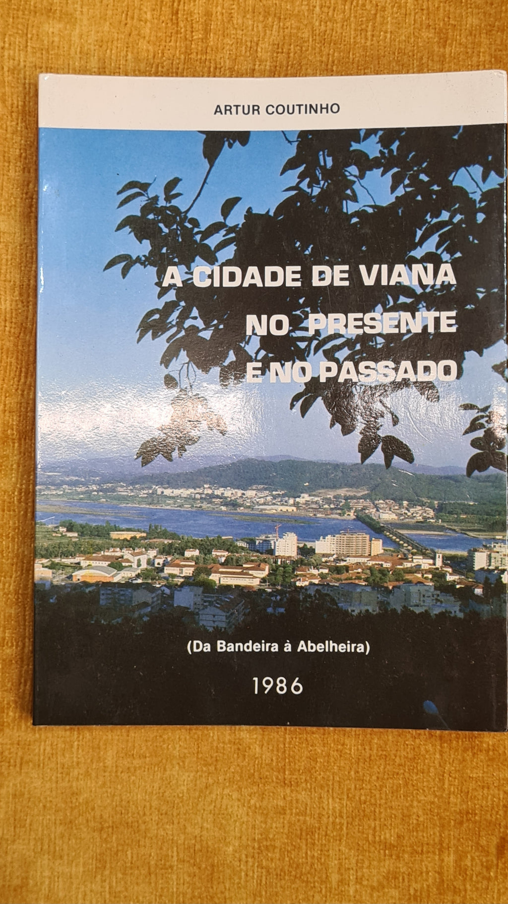 A cidade de Viana no presente e no passado (Da Bandeira à Abelheira)