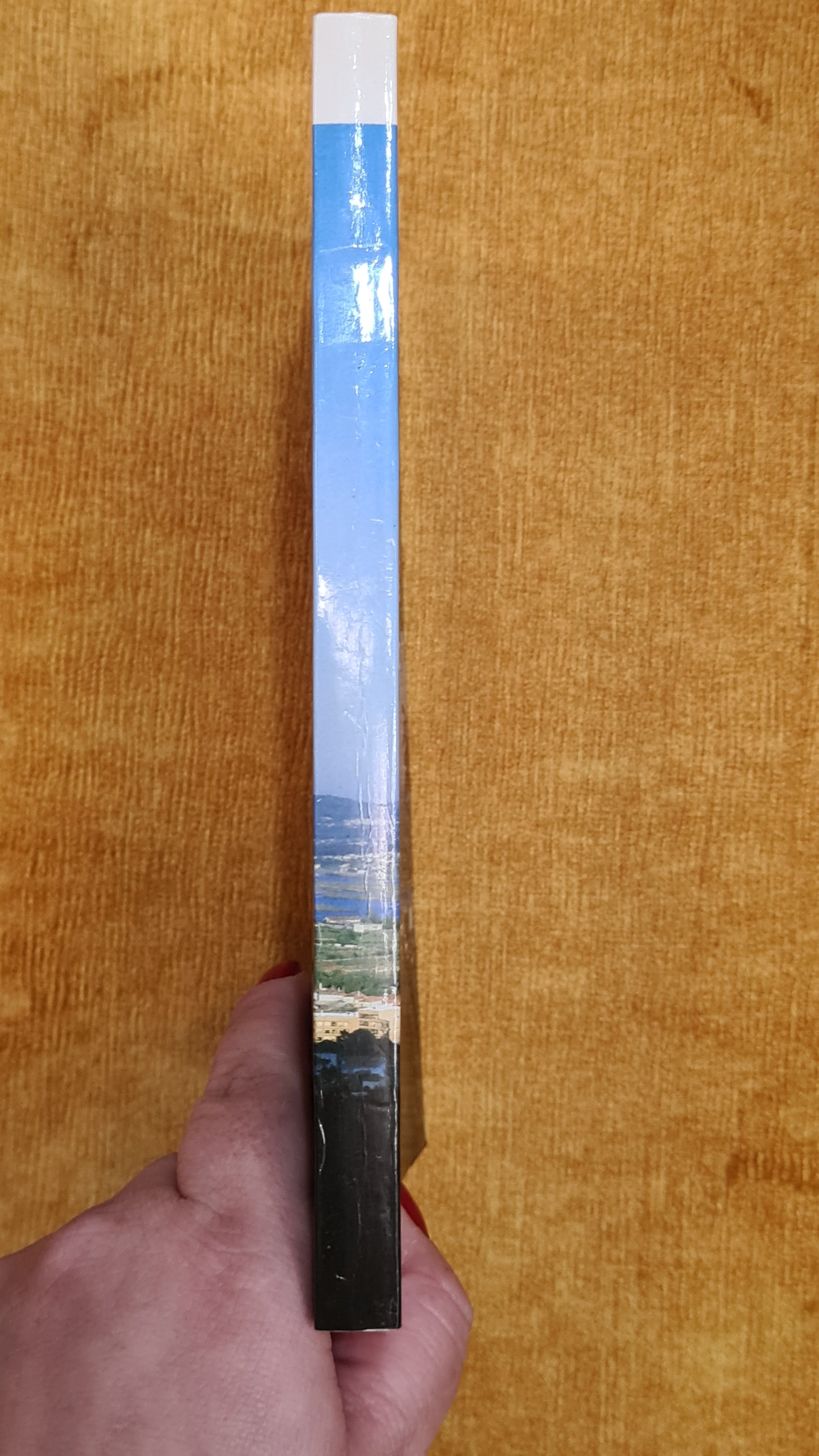 A cidade de Viana no presente e no passado (Da Bandeira à Abelheira)
