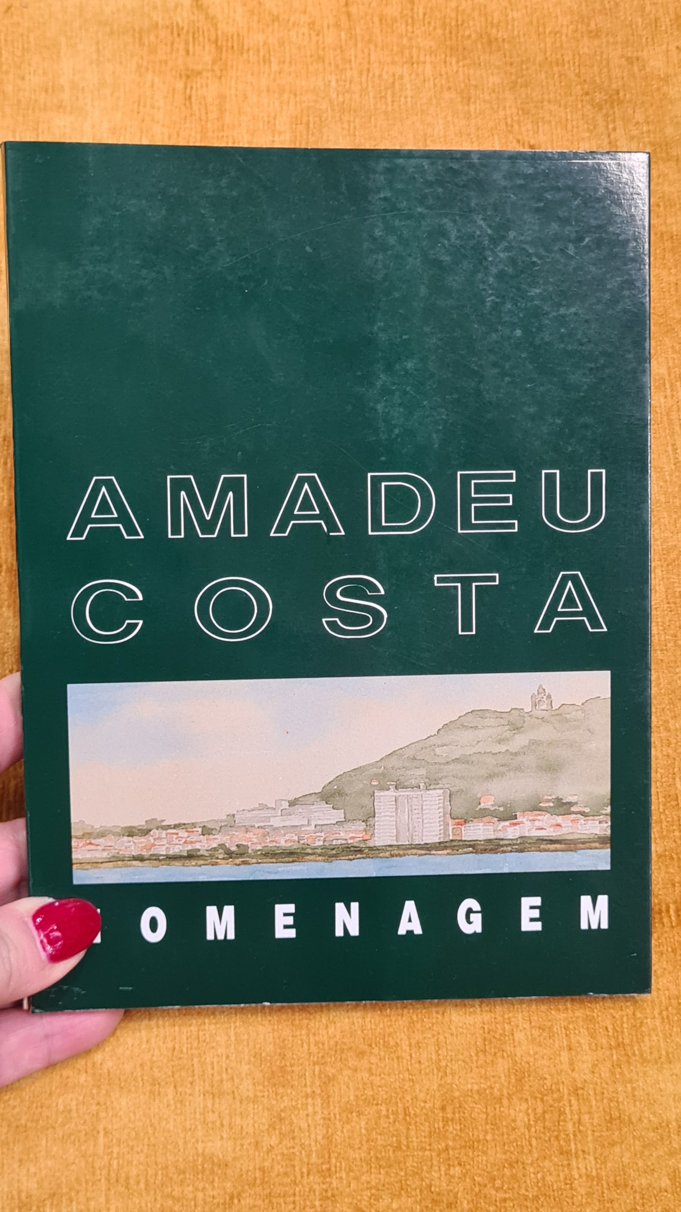 Homenagem a Amadeu Costa