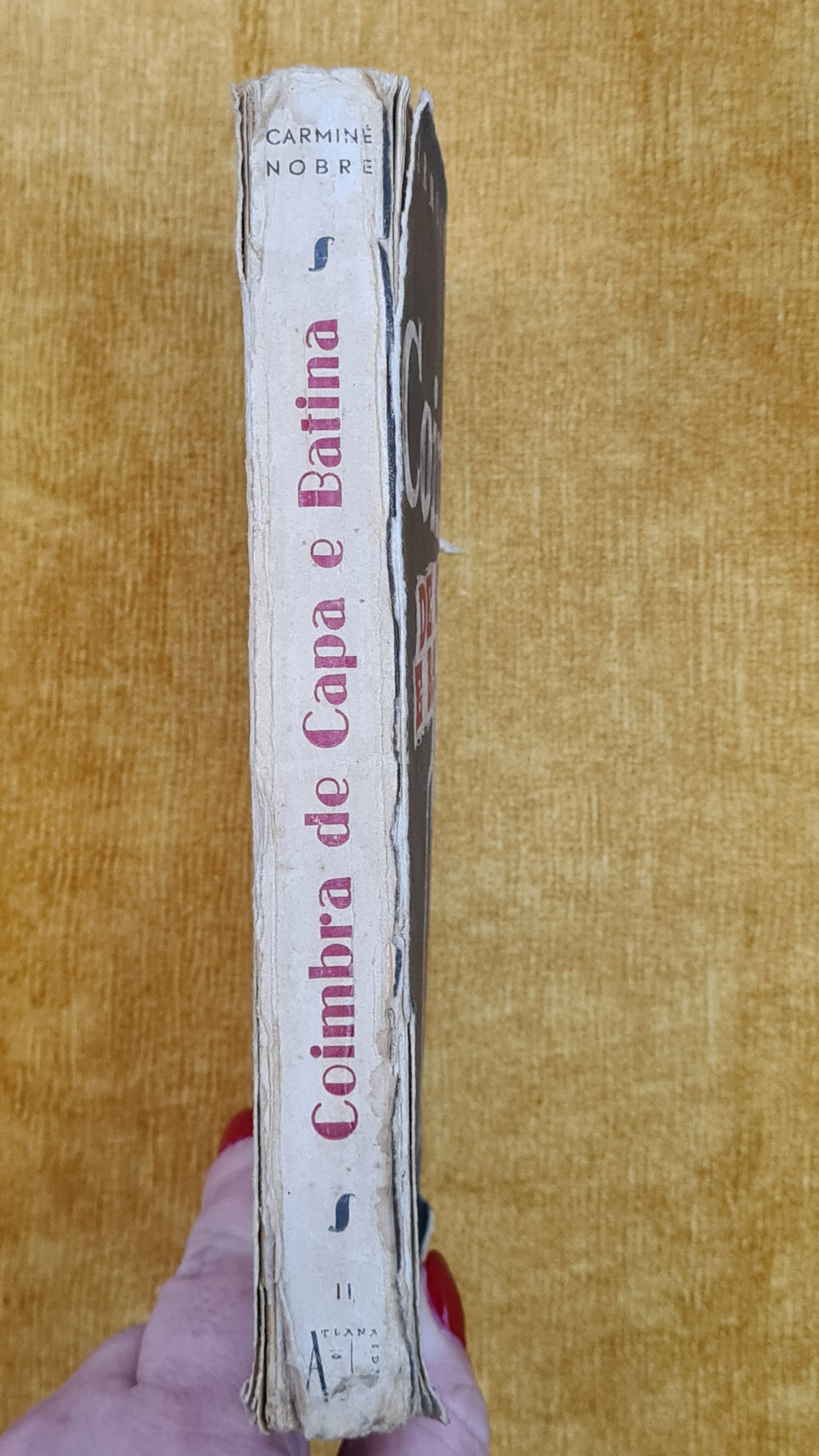Coimbra de capa e batina II