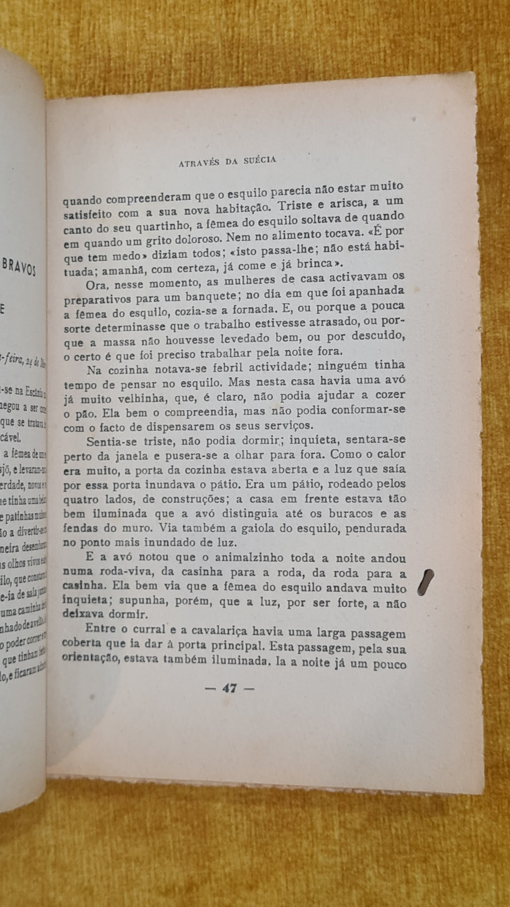 A maravilhosa viagem de Nils Holgersson