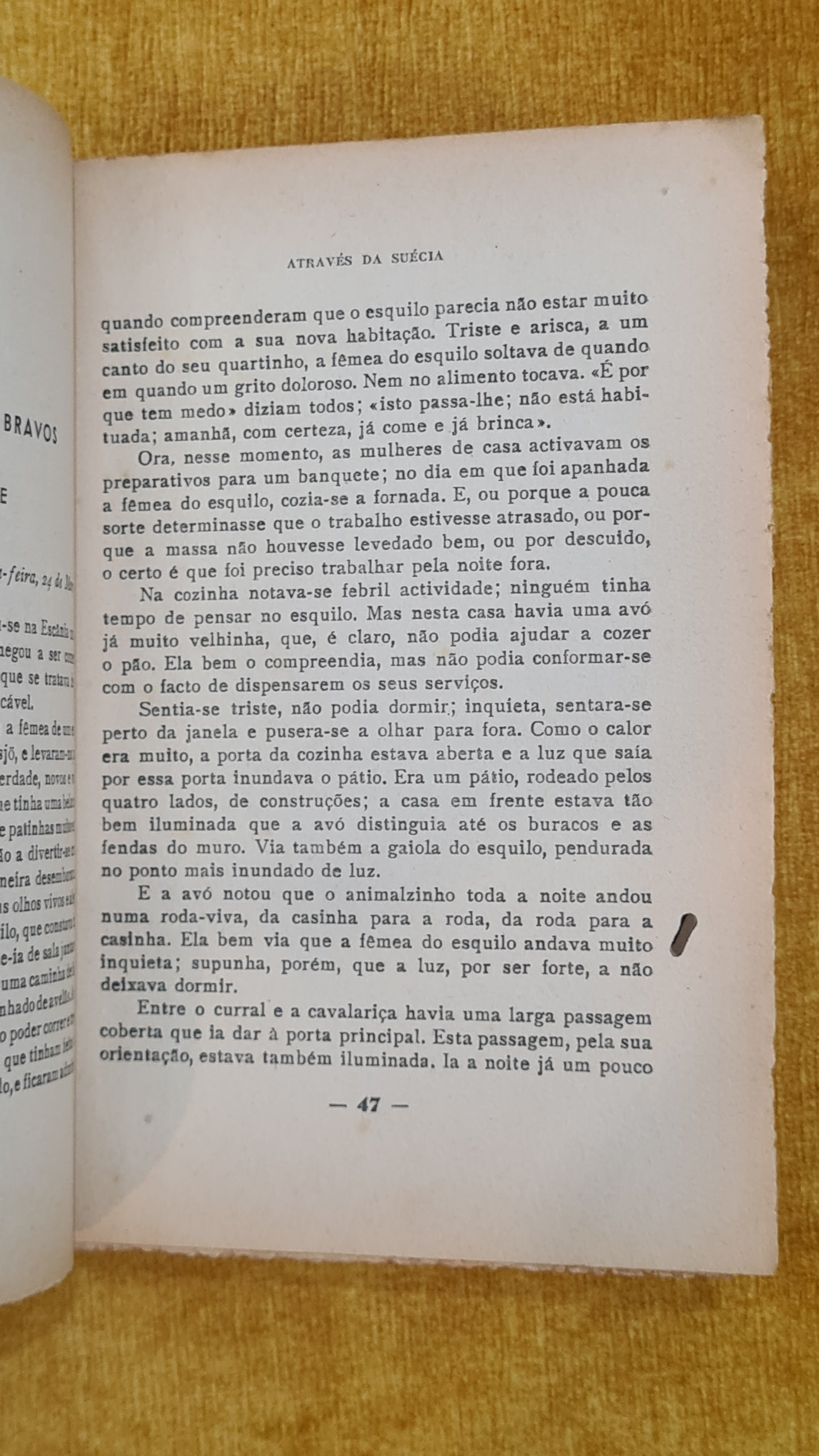 A maravilhosa viagem de Nils Holgersson