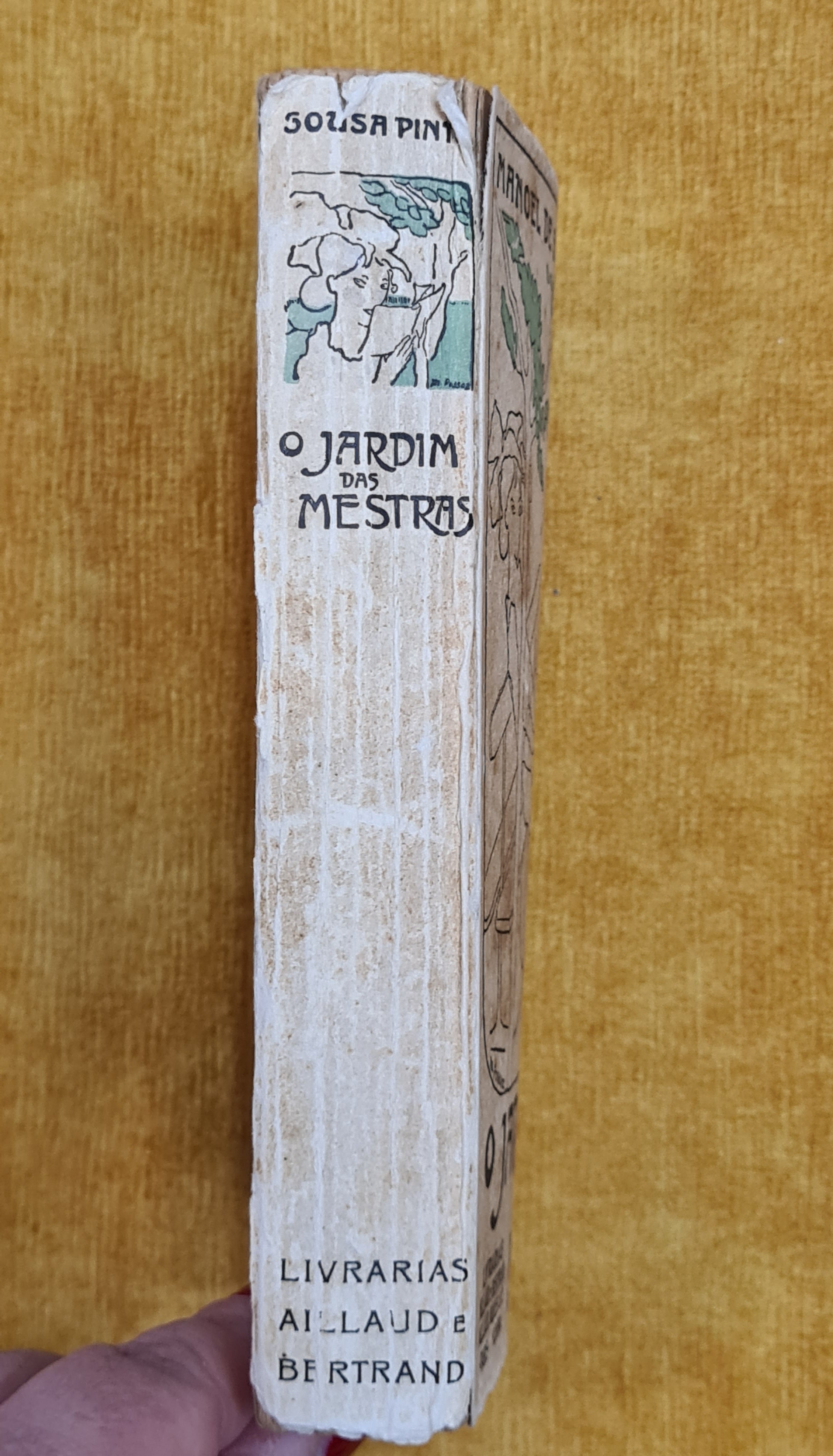 O jardim das mestras