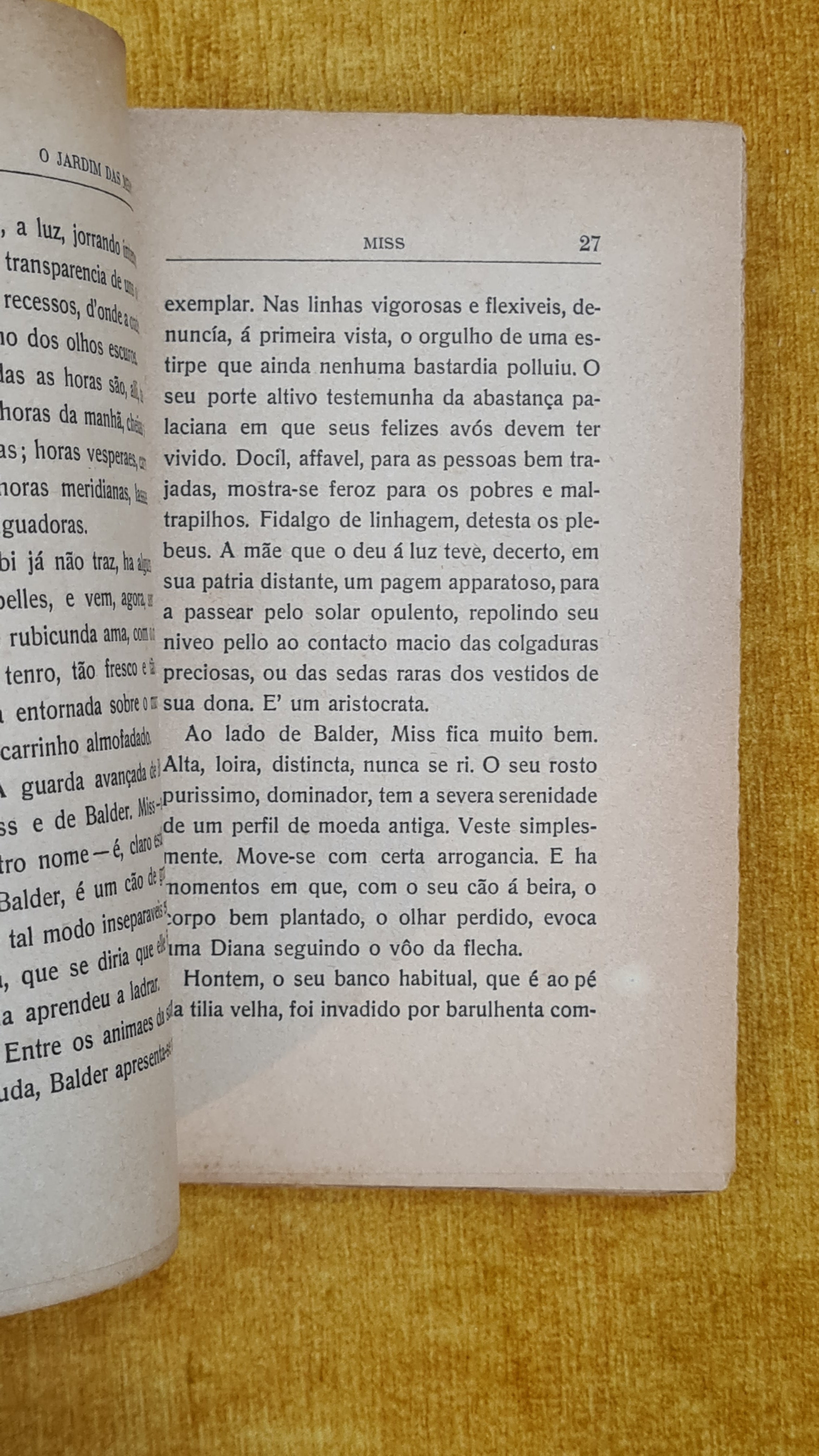 O jardim das mestras