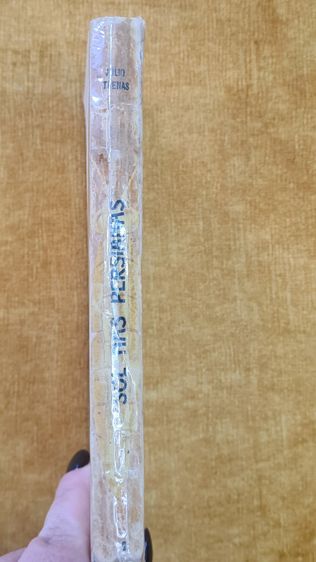 Sol nas persianas - Colecção Mariposa 1