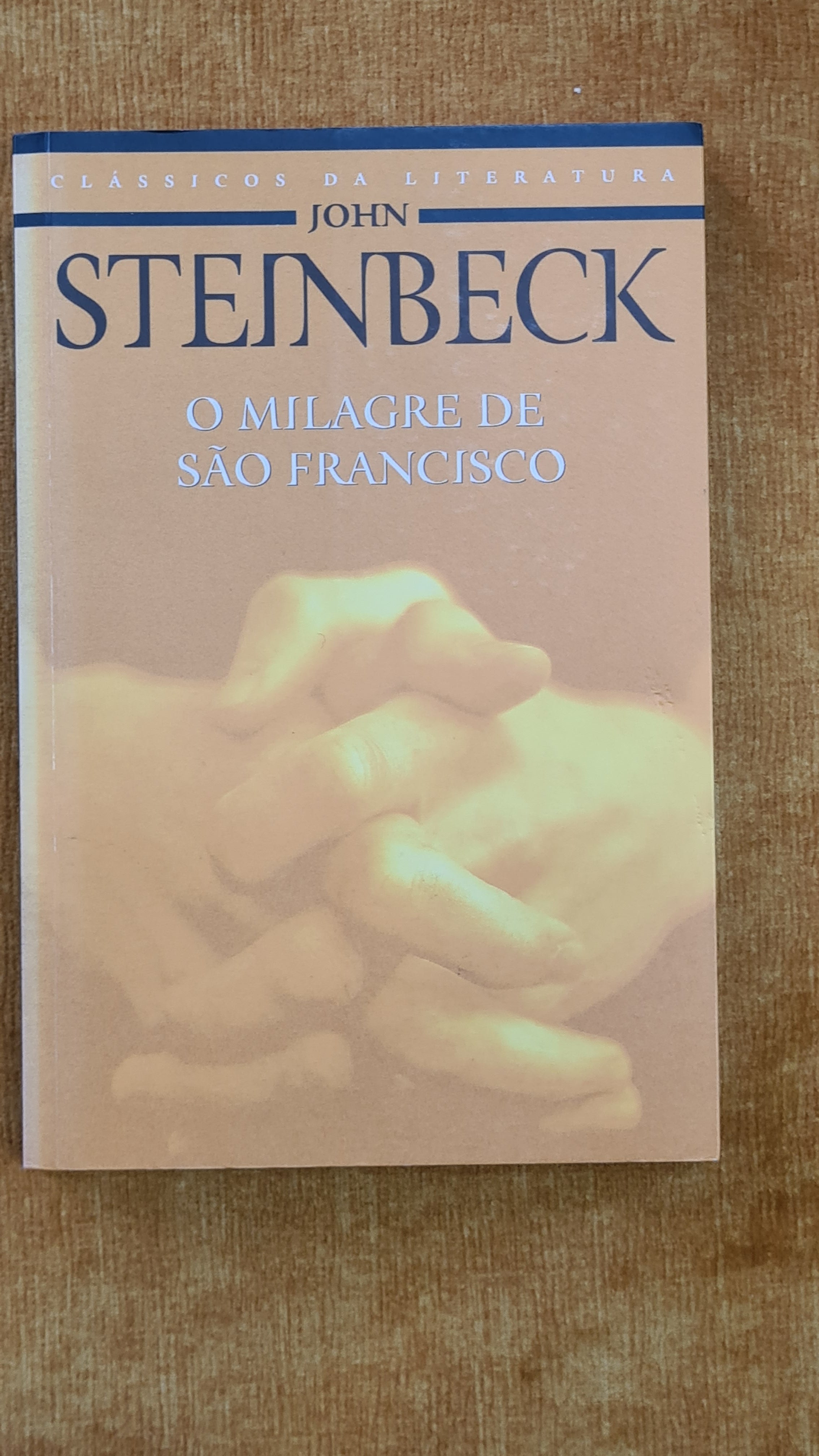 The Miracle of Saint Francis