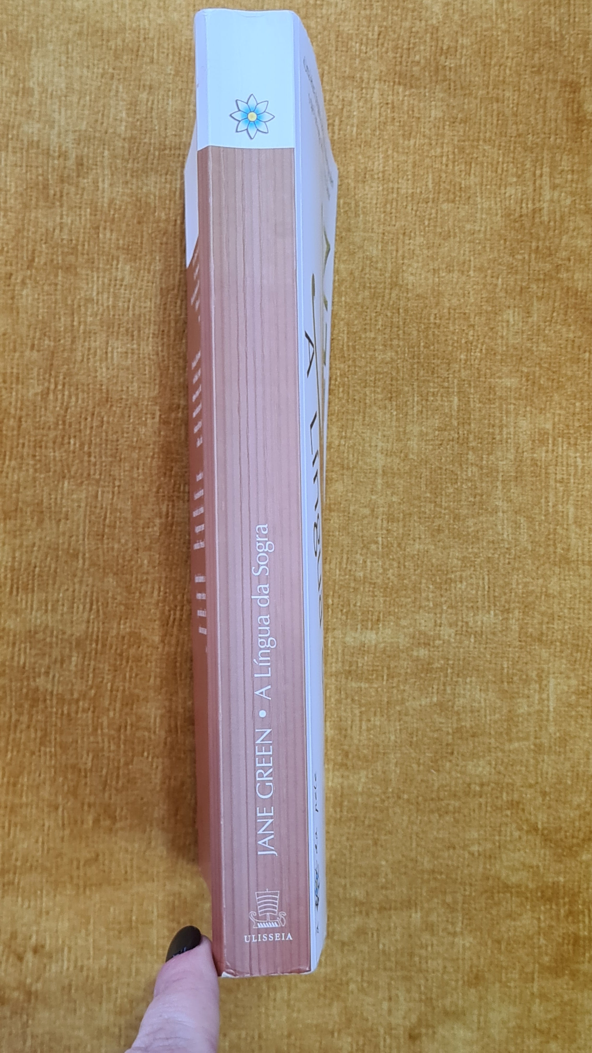 Mother-in-law's tongue