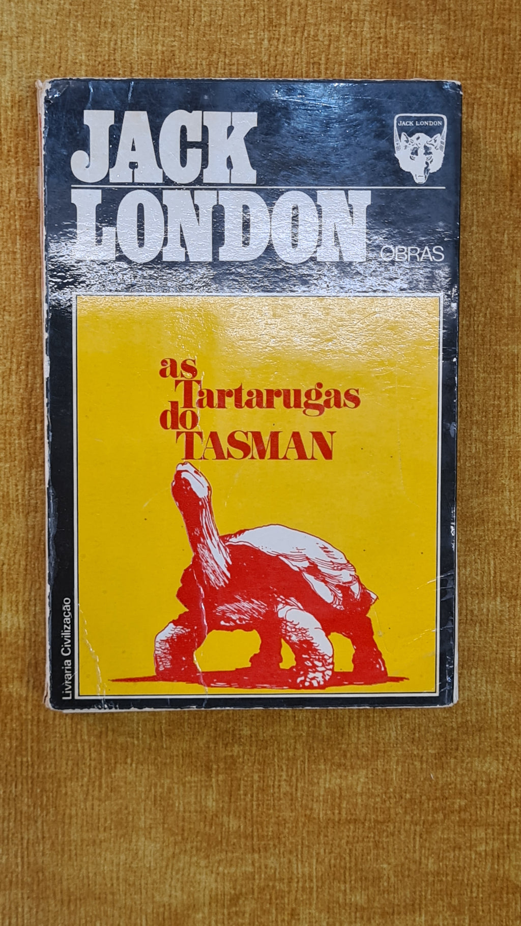The Tasman turtles