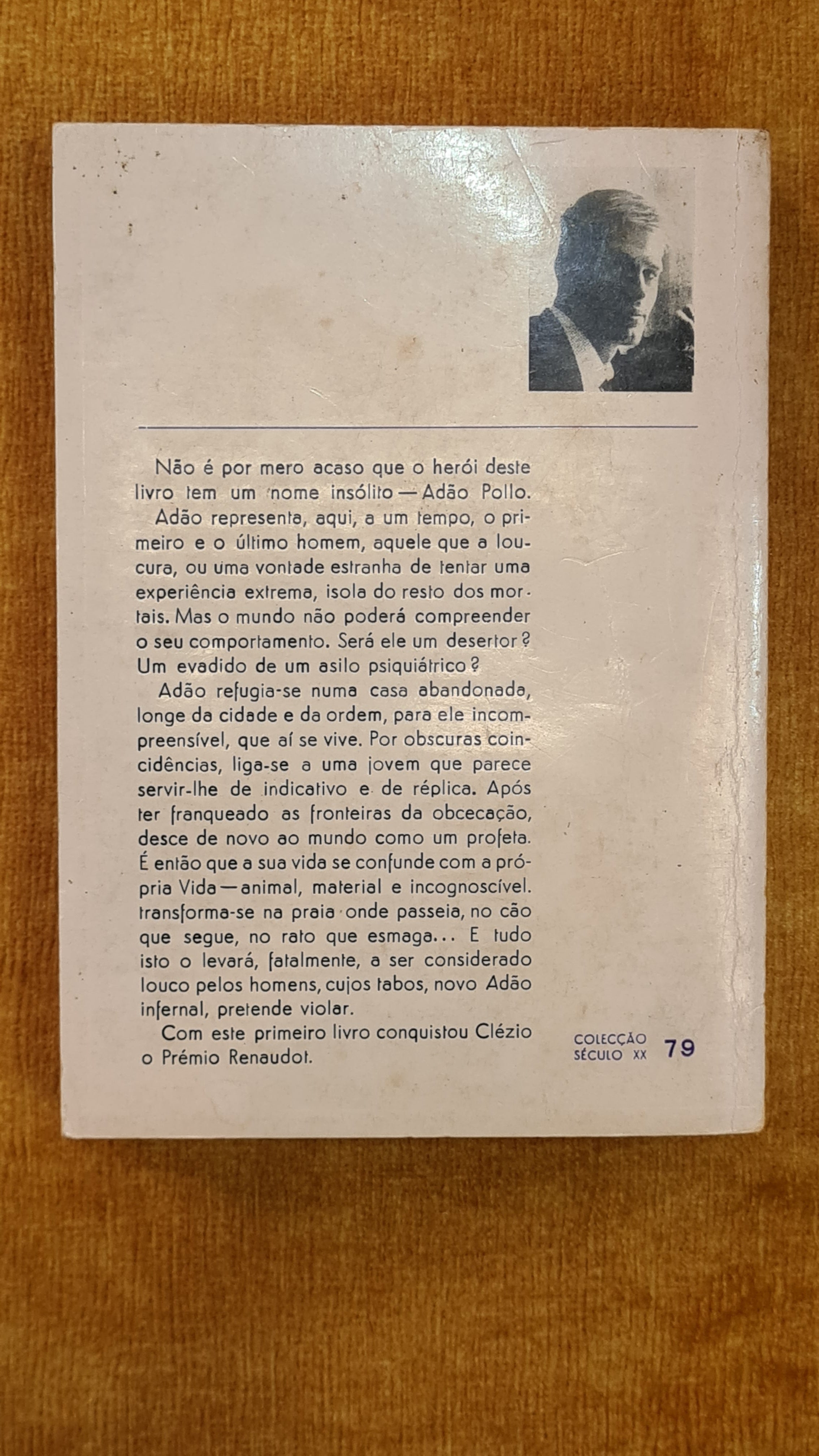 O processo de adão pollo - colecção Século XX 79