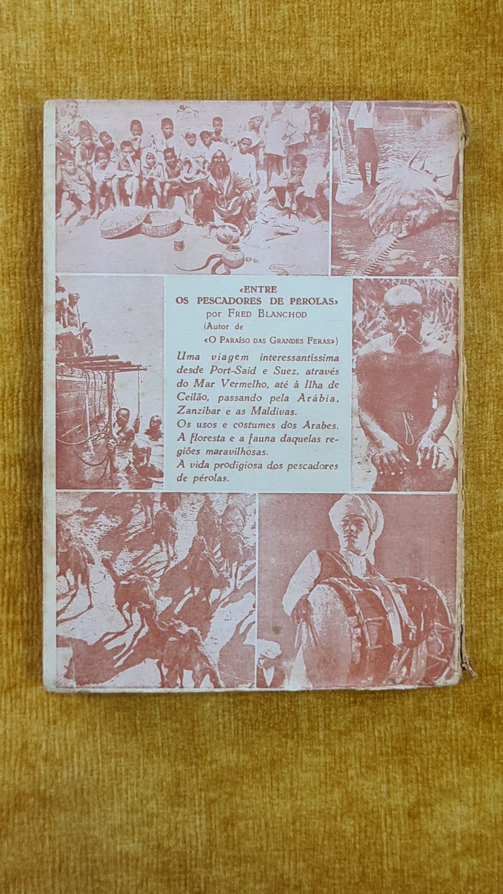 Among the Pearl Fishers: Arabia-Zanzibar-Ceylon