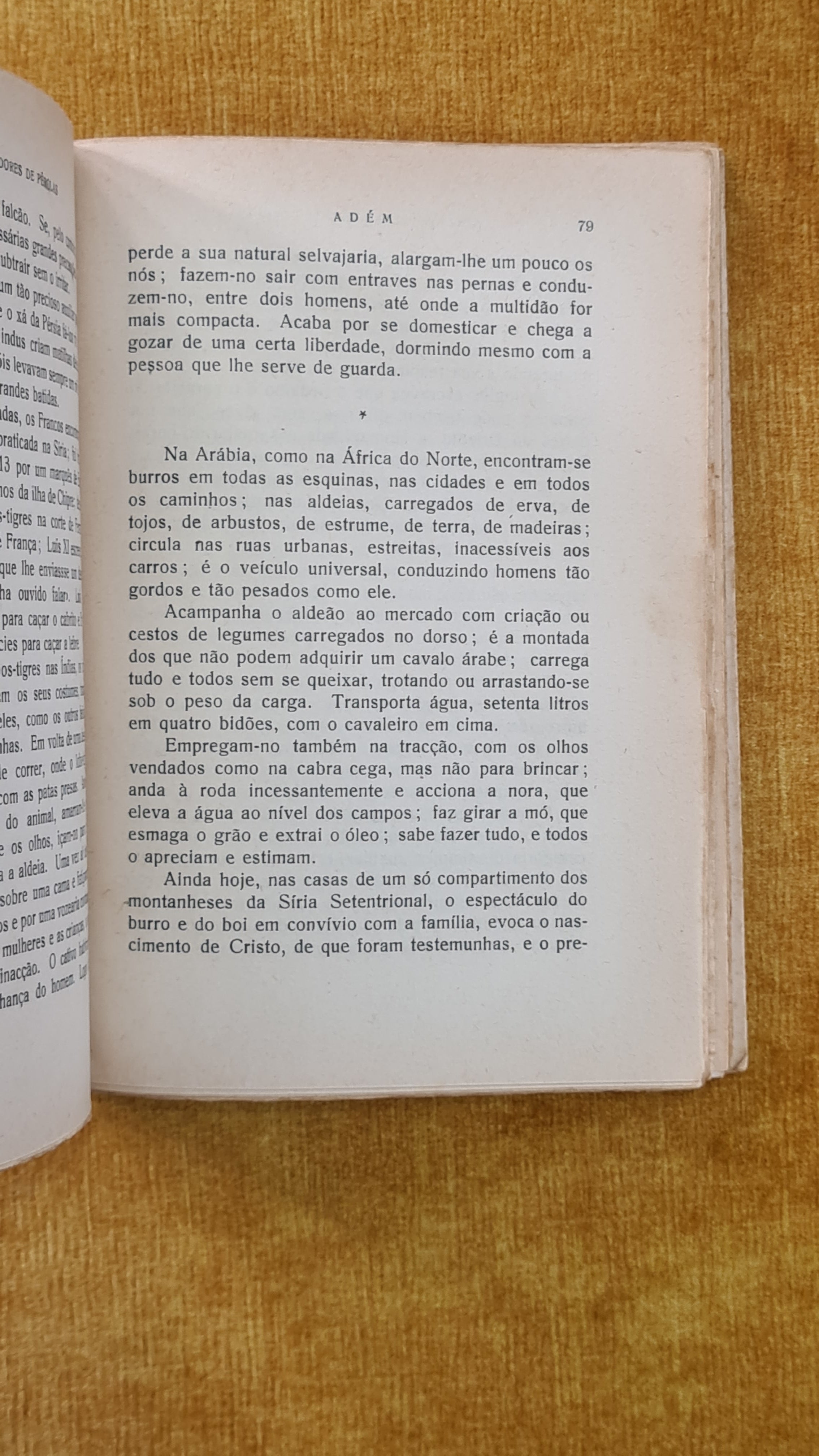 Entre os pescadores de pérolas: Arábia-Zanzibar-Ceilão