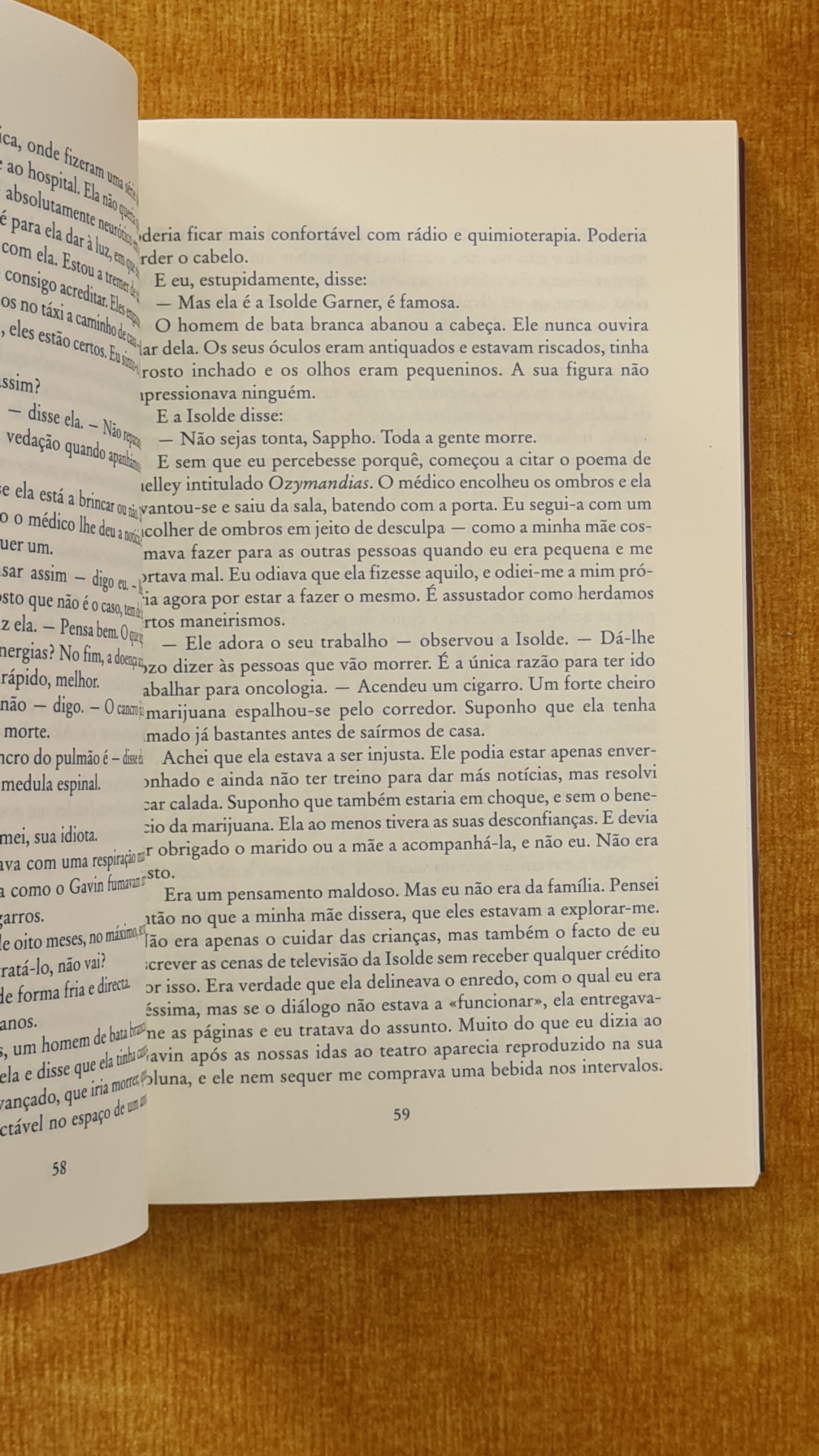 The Stepmother's Diary