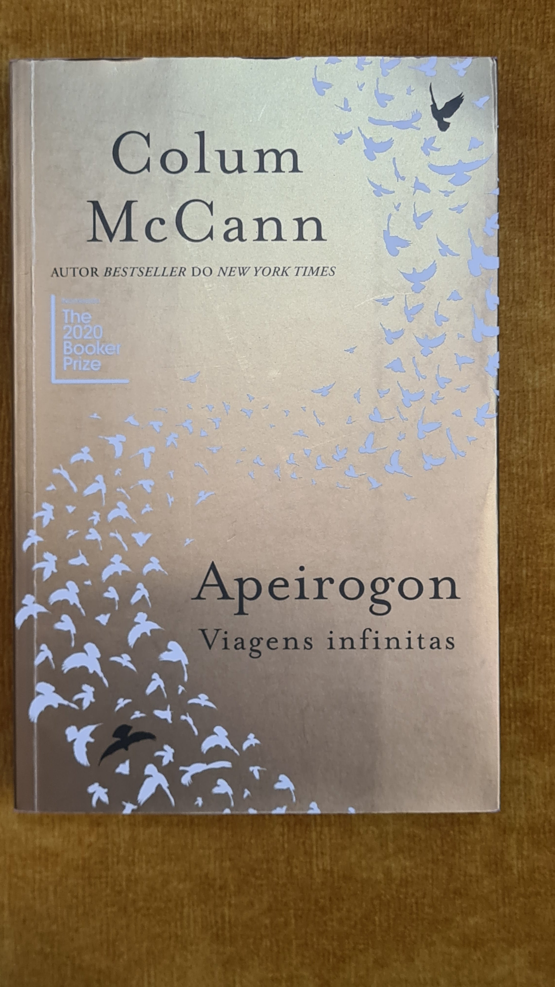 Apeirogon: Infinite Journeys