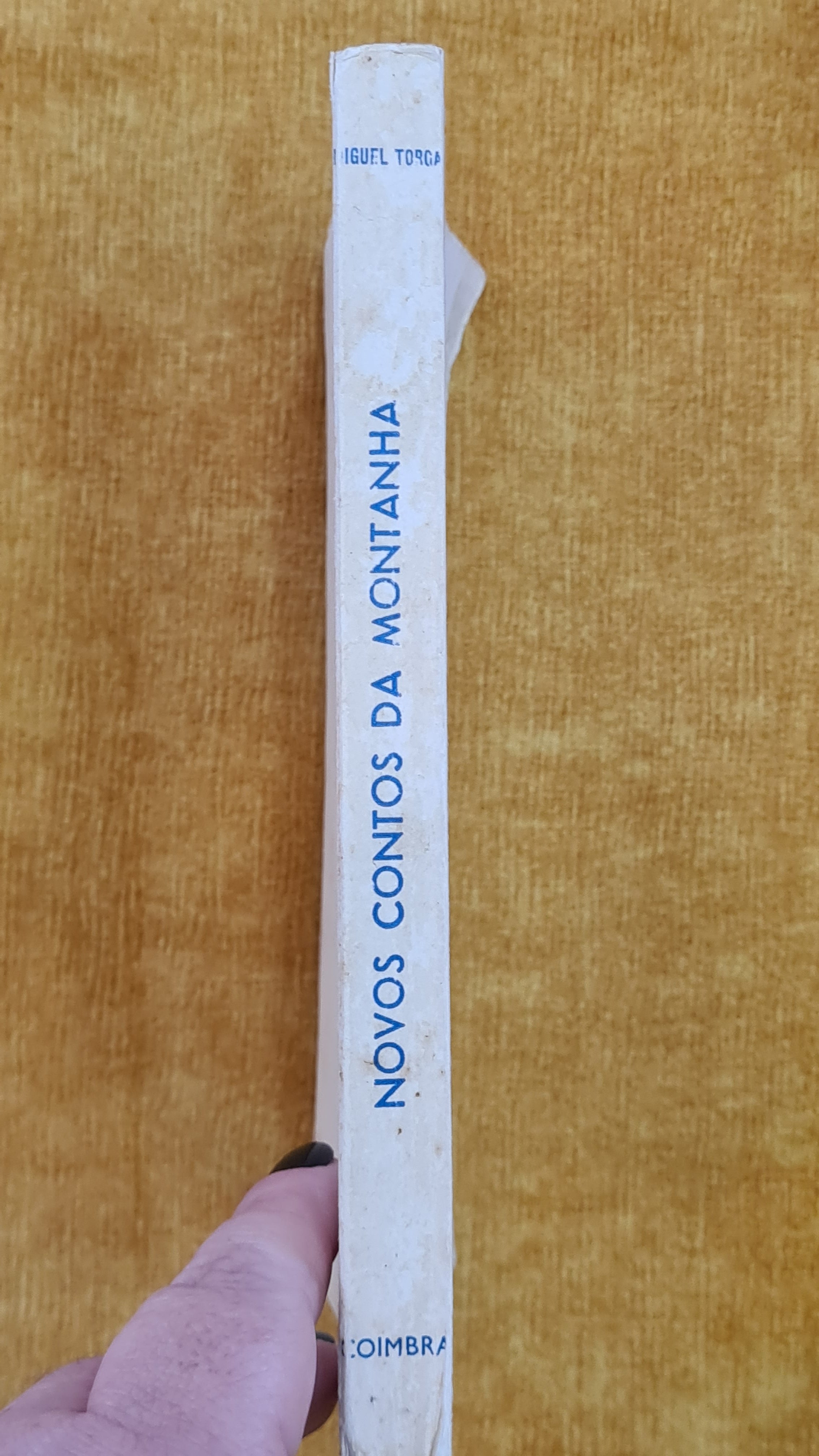 Novos contos da Montanha