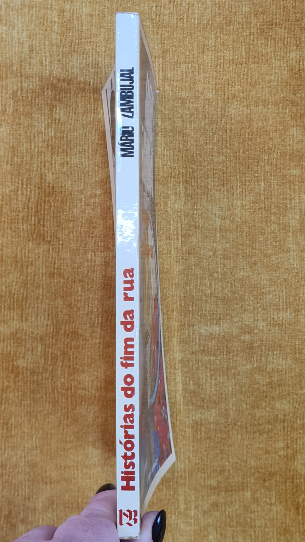 Stories from the end of the street - Portuguese Language Authors Collection