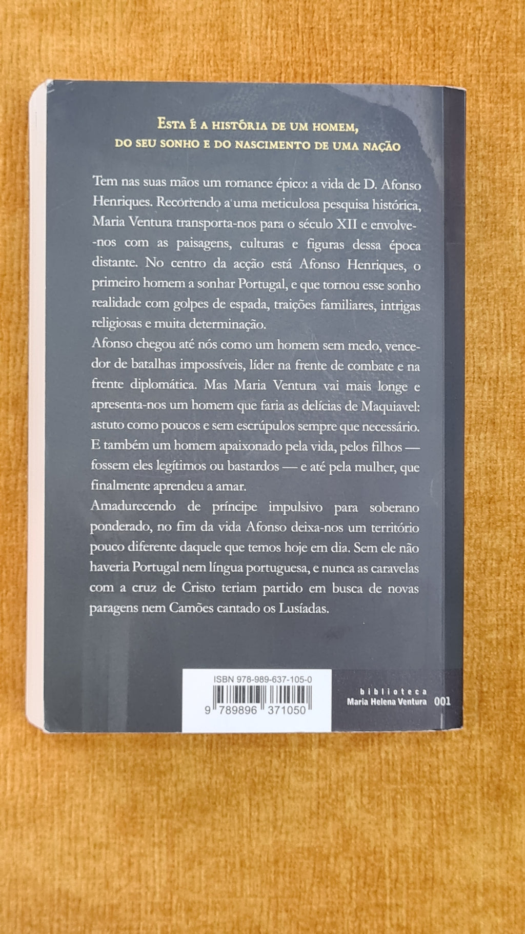 Afonso o conquistador - Biblioteca Maria Helena Ventura 001