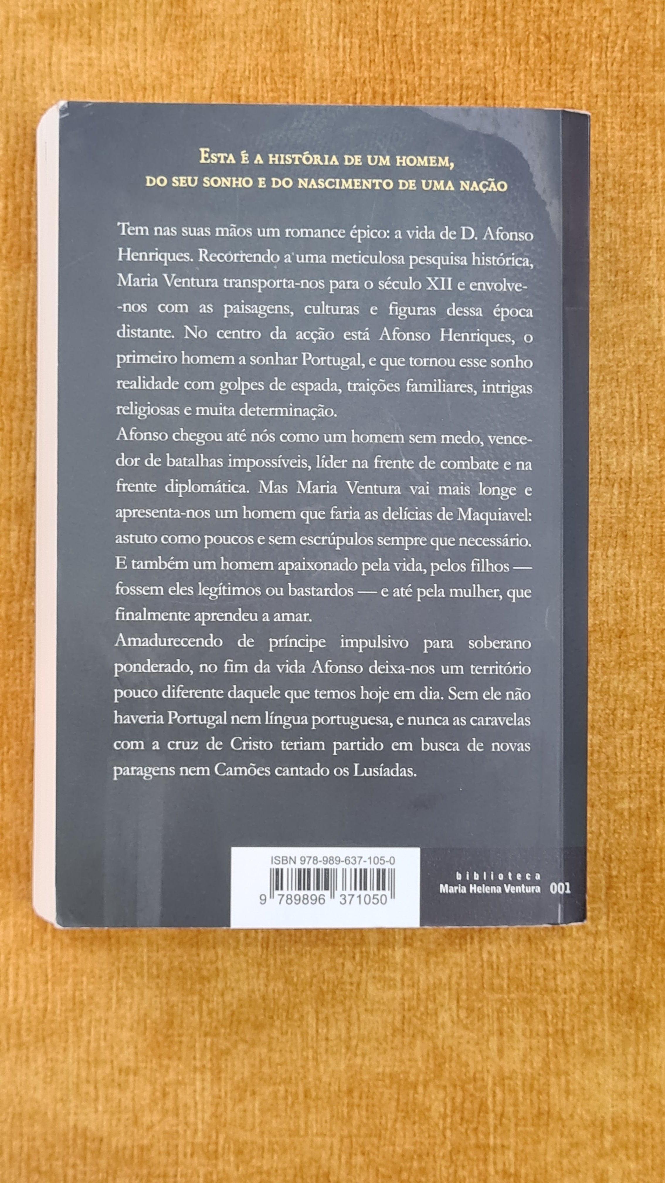 Afonso o conquistador - Biblioteca Maria Helena Ventura 001