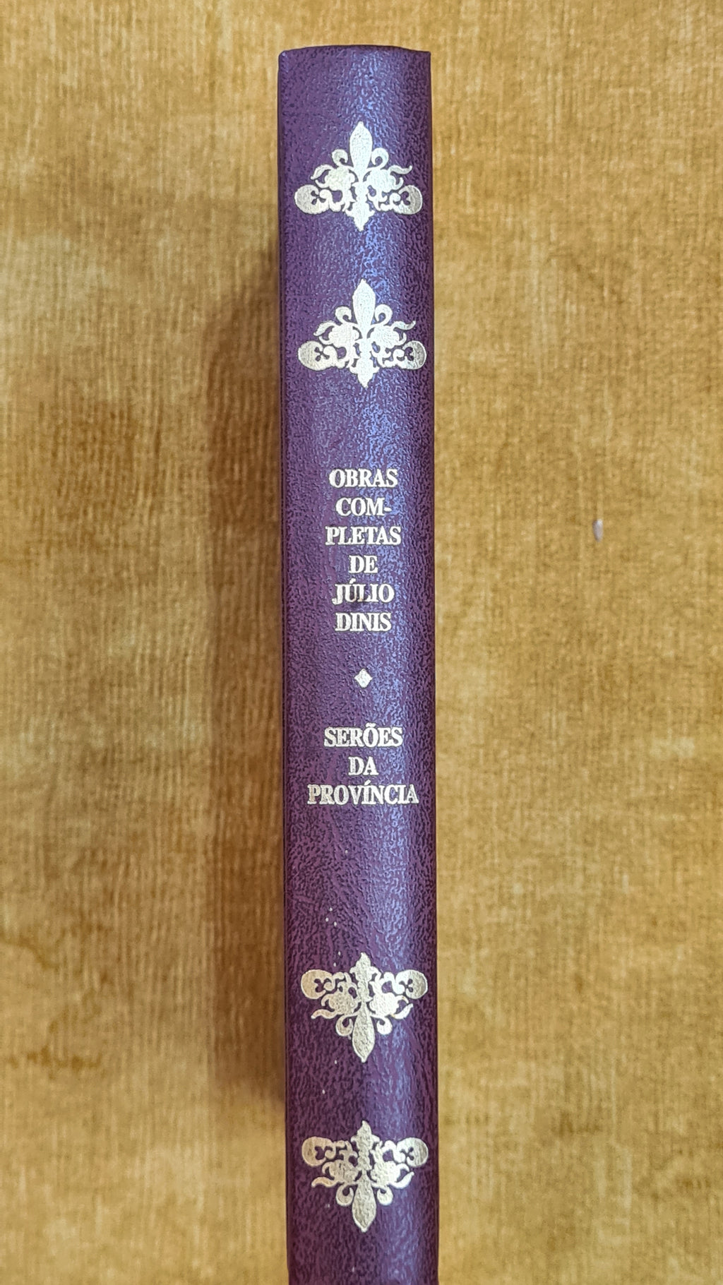Evenings in the Province - Complete Works of Júlio Dinis