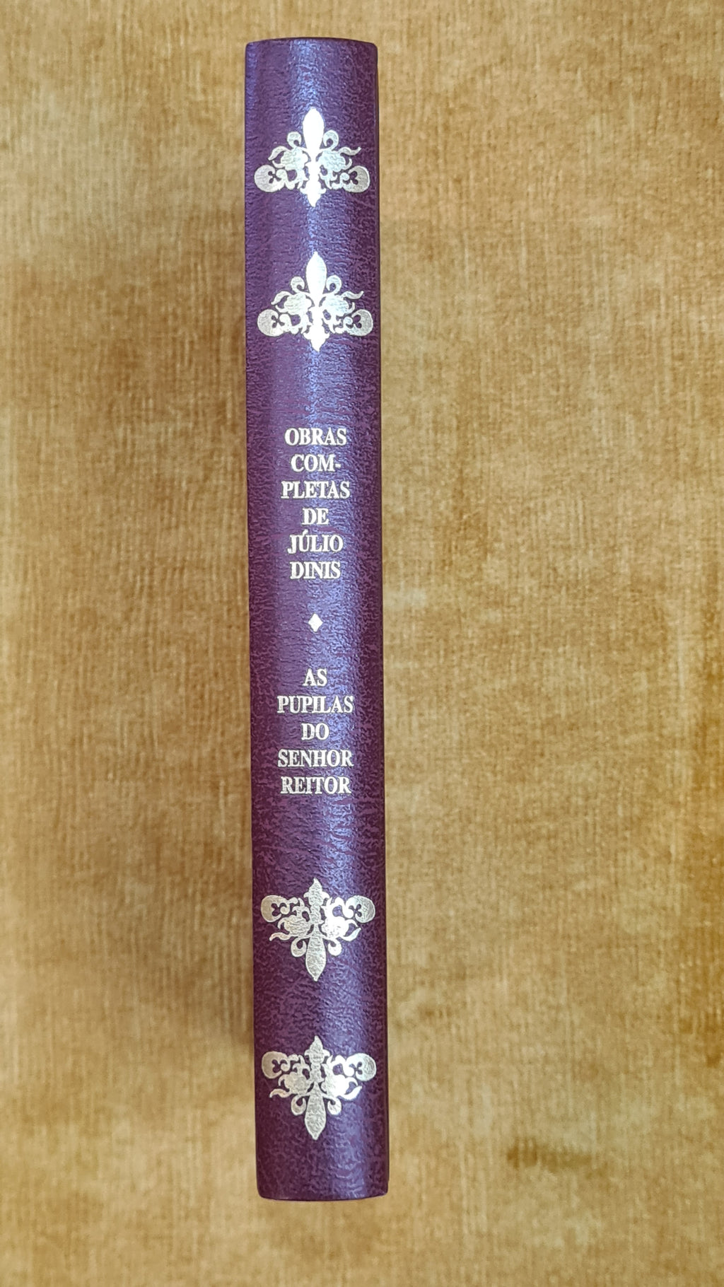 The Rector's Pupils - Complete Works of Júlio Dinis