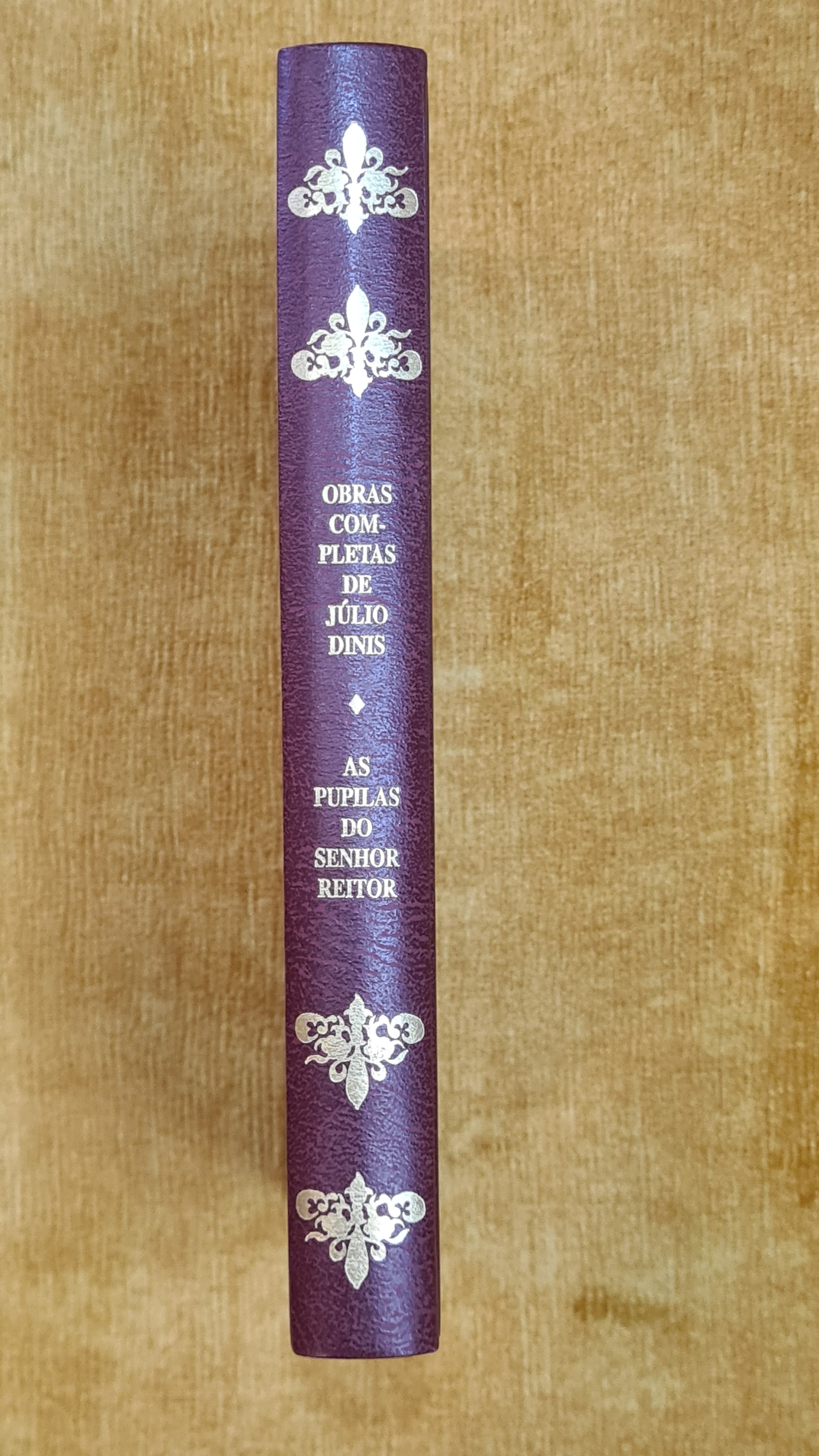 The Rector's Pupils - Complete Works of Júlio Dinis