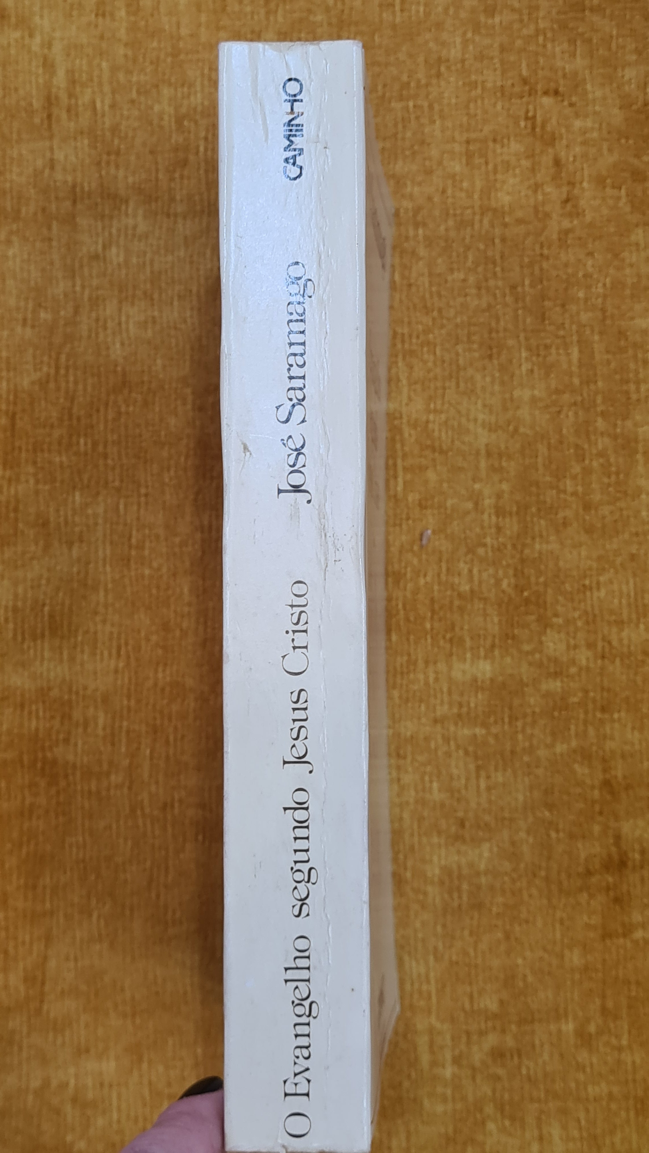 O Evangelho segundo Jesus Cristo