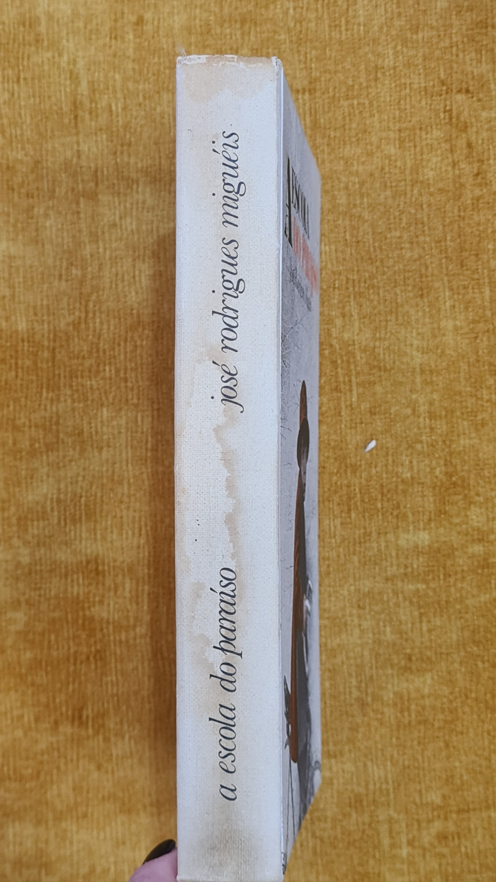 A escola do paraíso