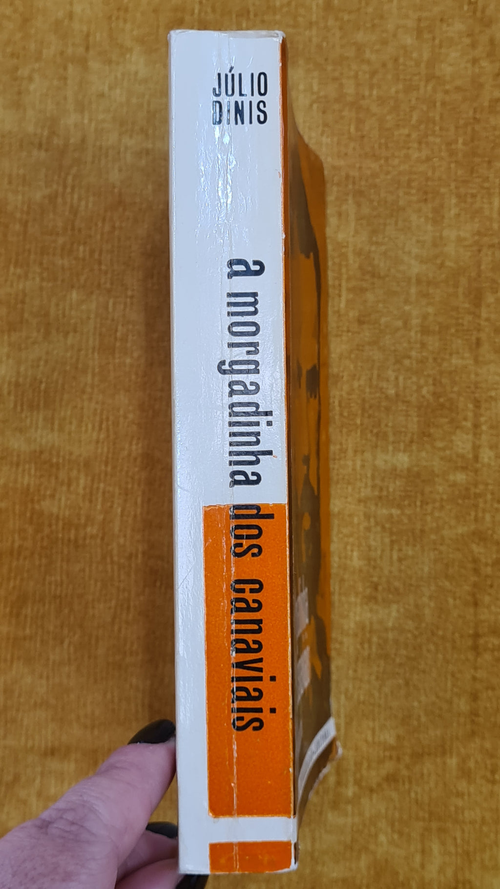 A Morgadinha dos canaviais