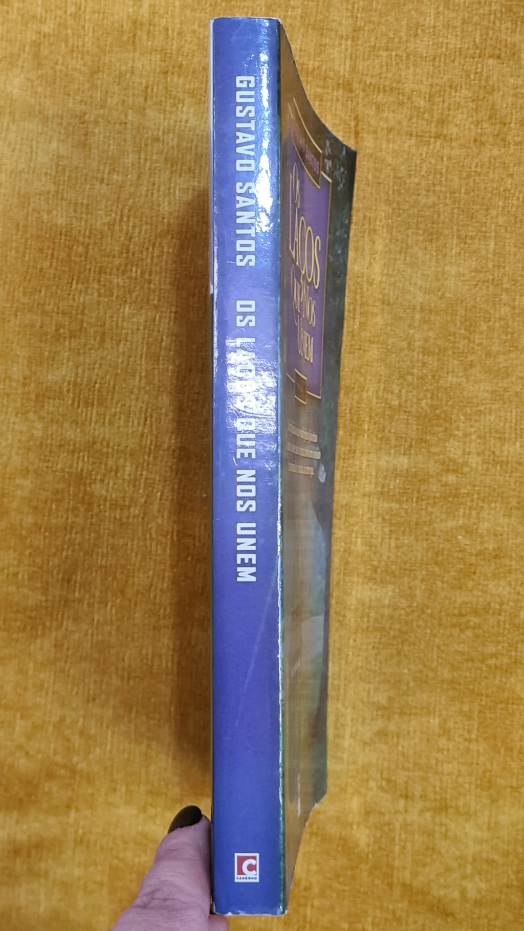 The ties that bind us