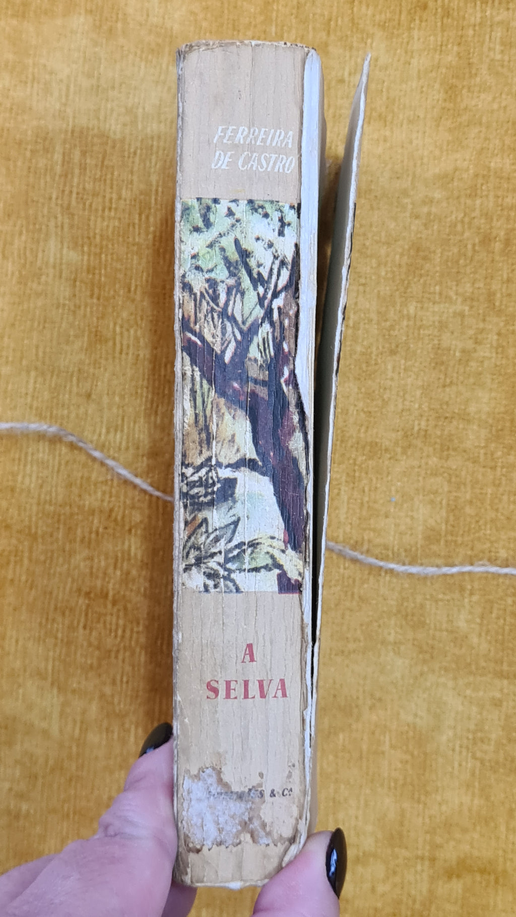 A Selva