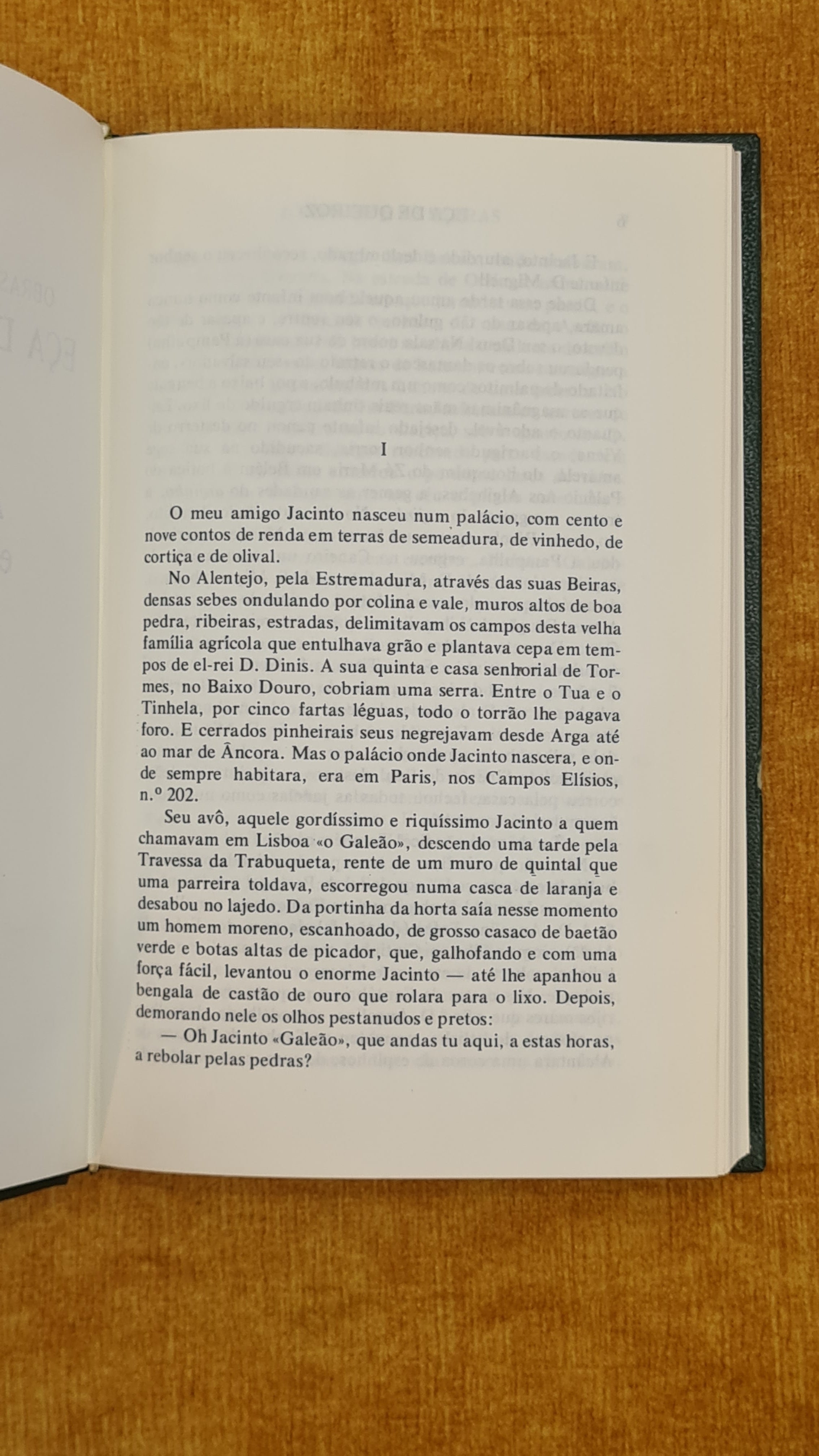 Complete Works of Eça de Queiroz VIII (The City and the Mountains)