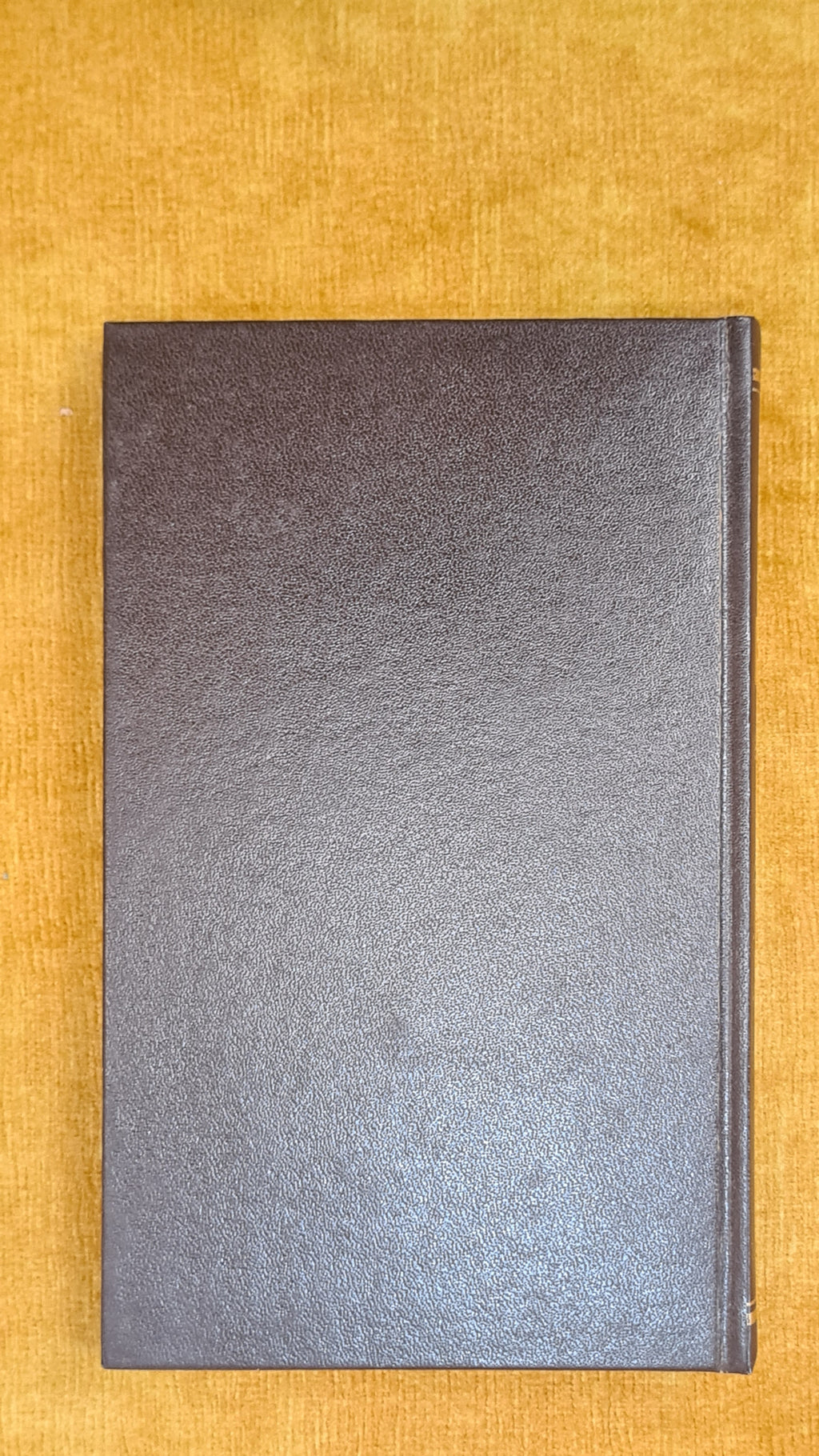 Complete Novels by Aquilino Ribeiro IV (The Man Who Killed the Devil)