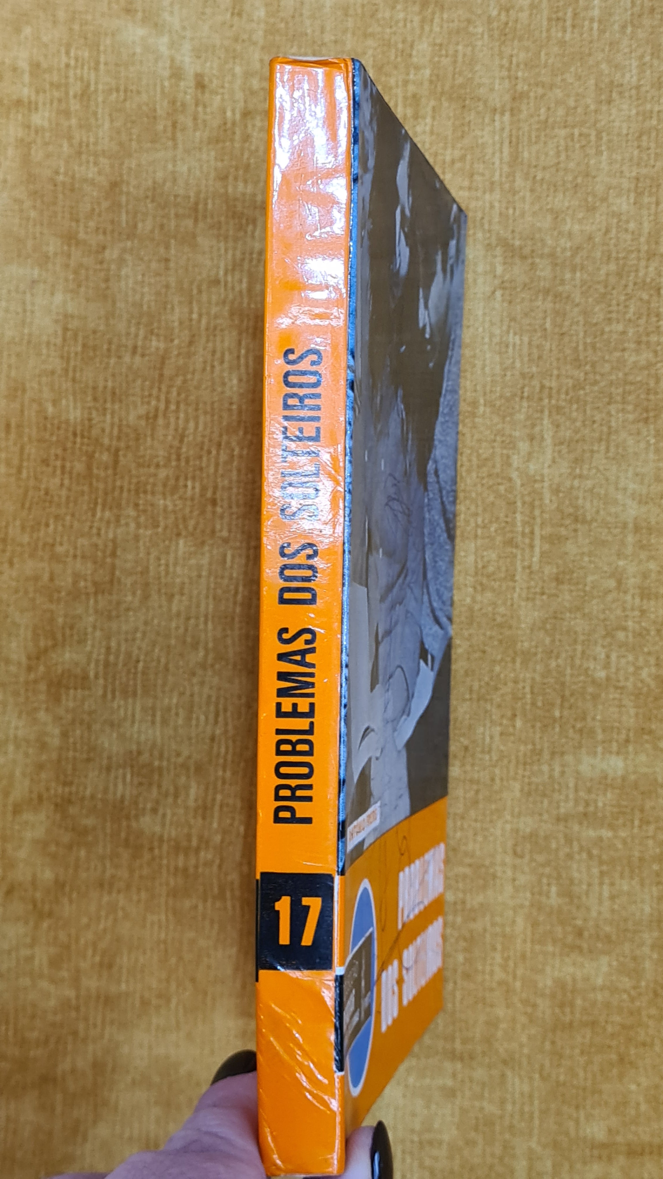 Problemas dos solteiros